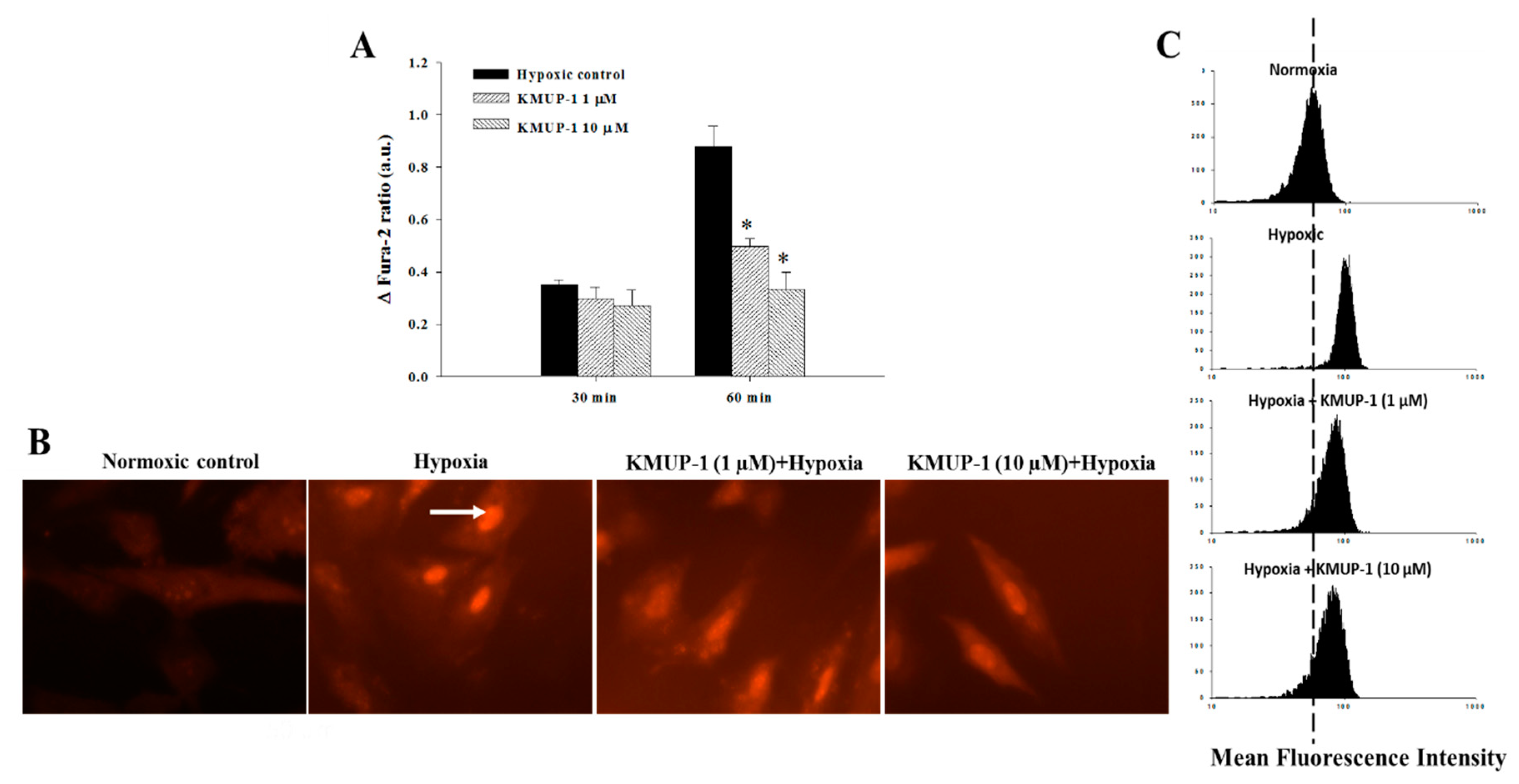 Molecules 24 01376 g004