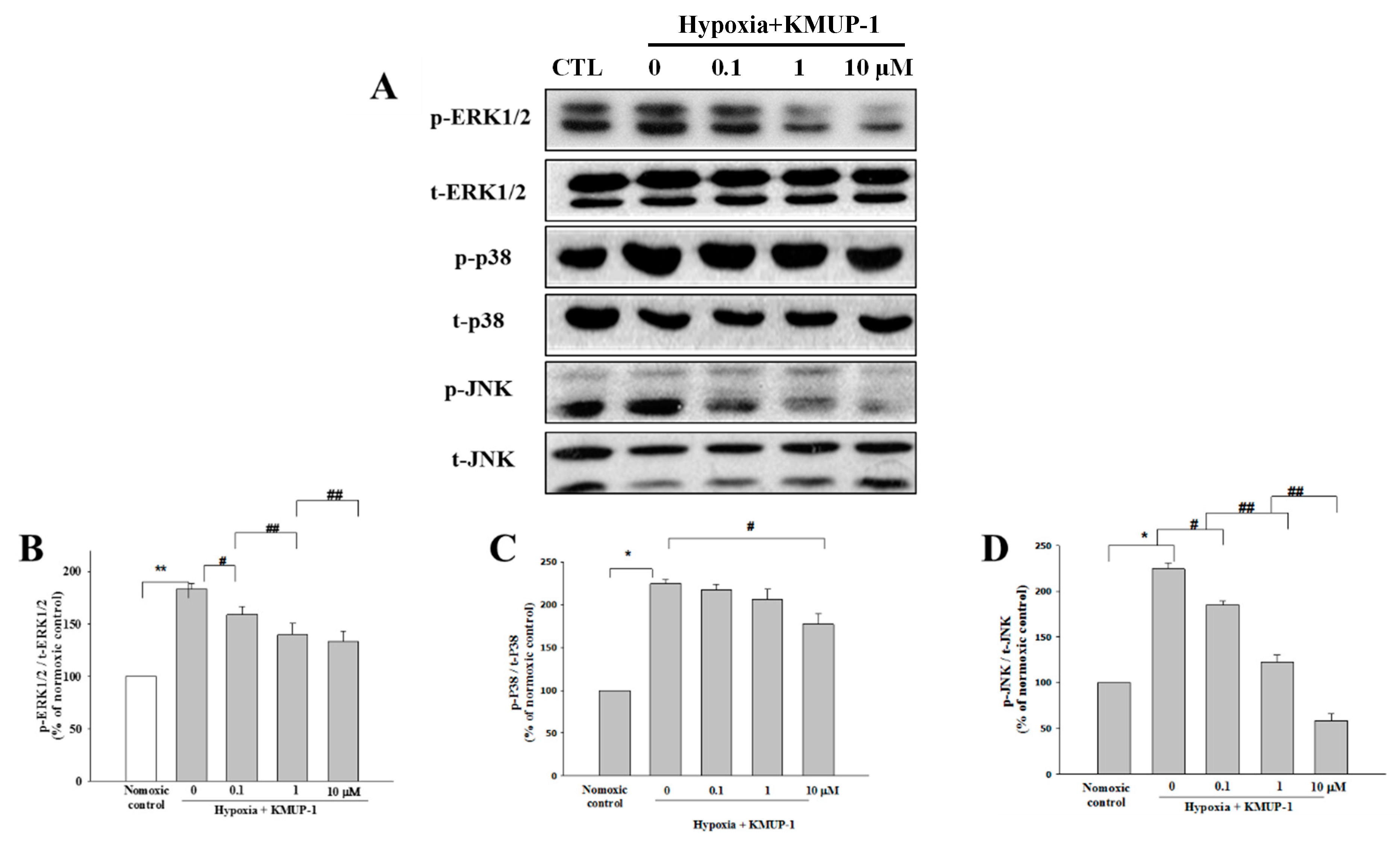 Molecules 24 01376 g007