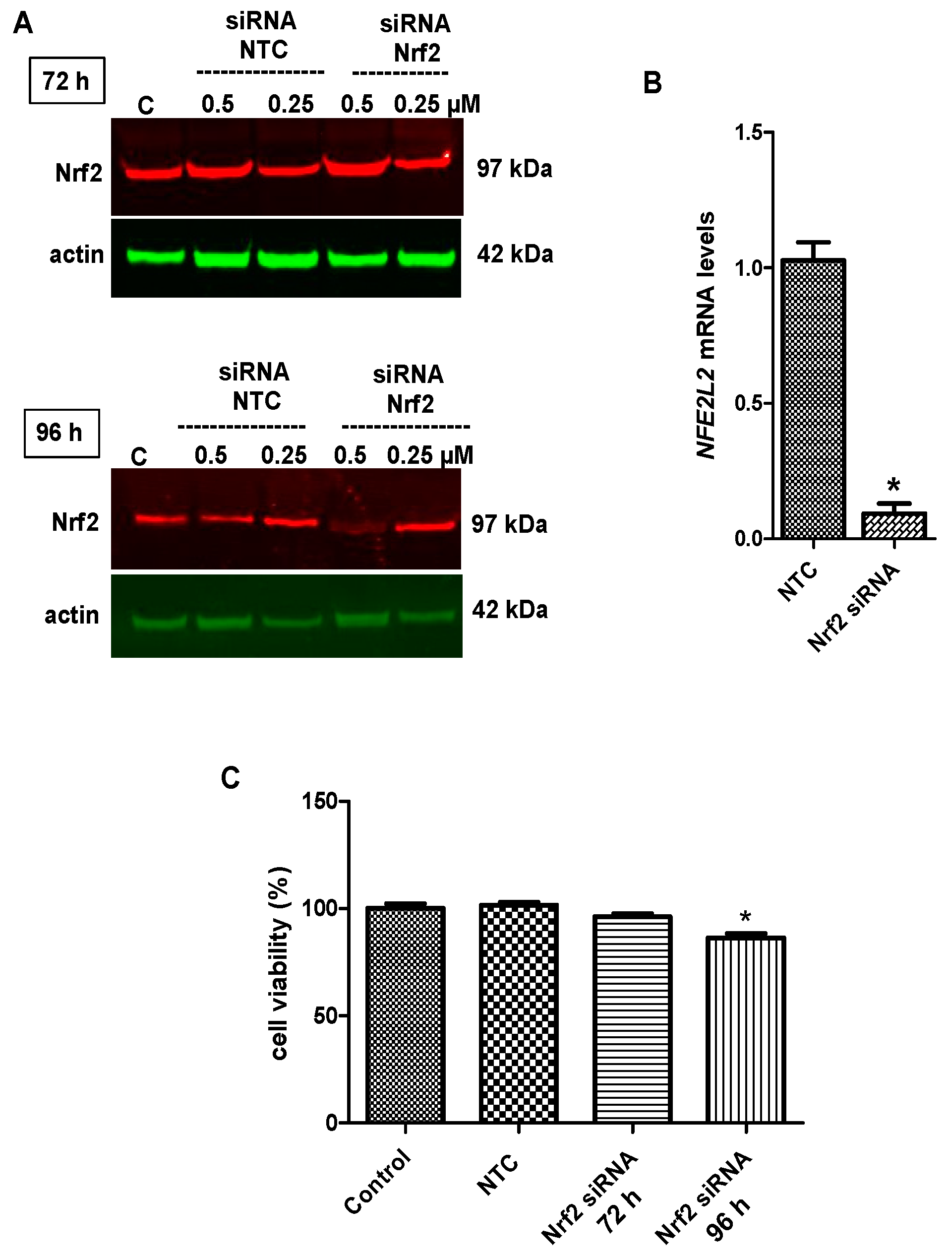 Molecules 24 01377 g009