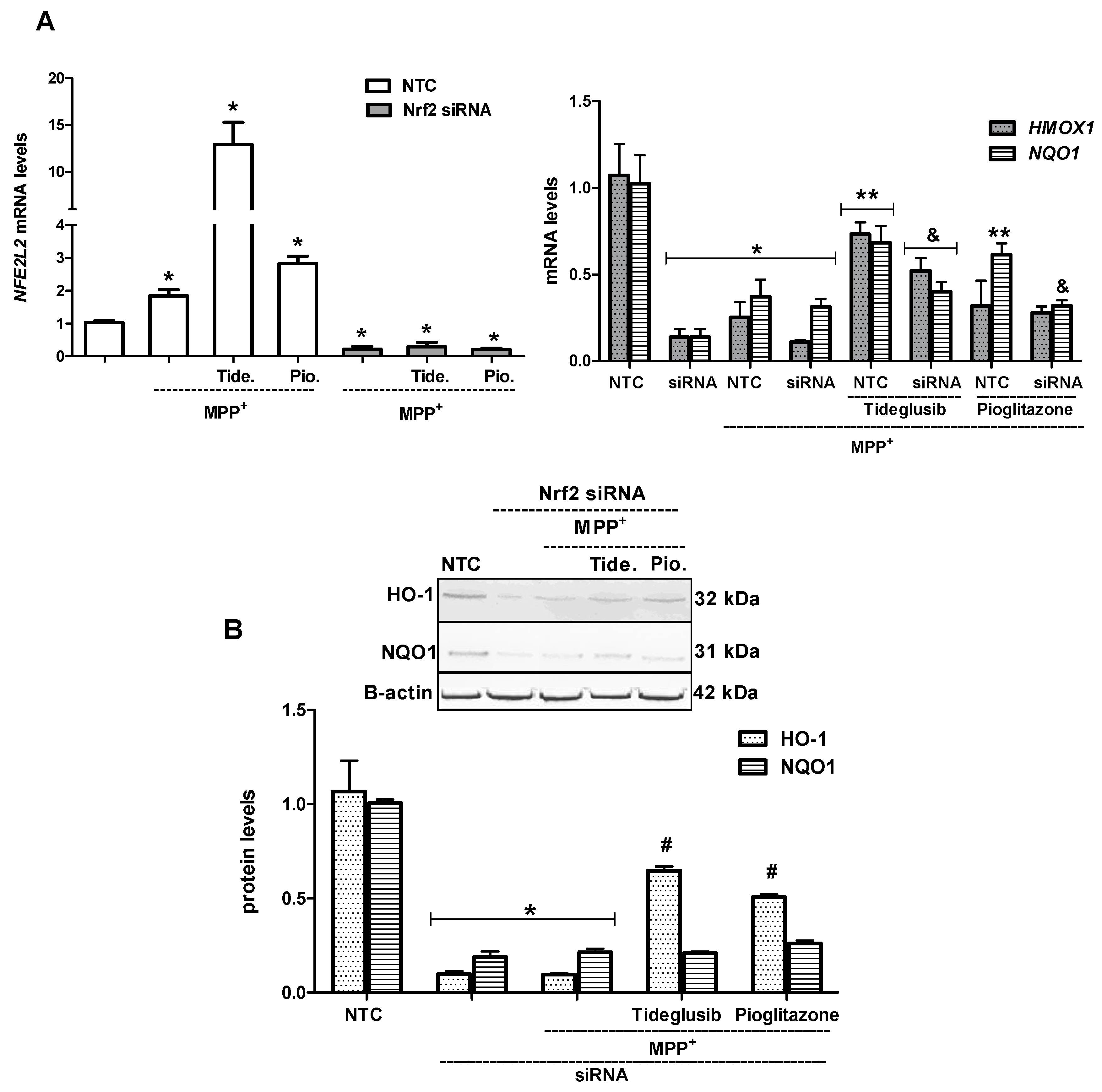 Molecules 24 01377 g011