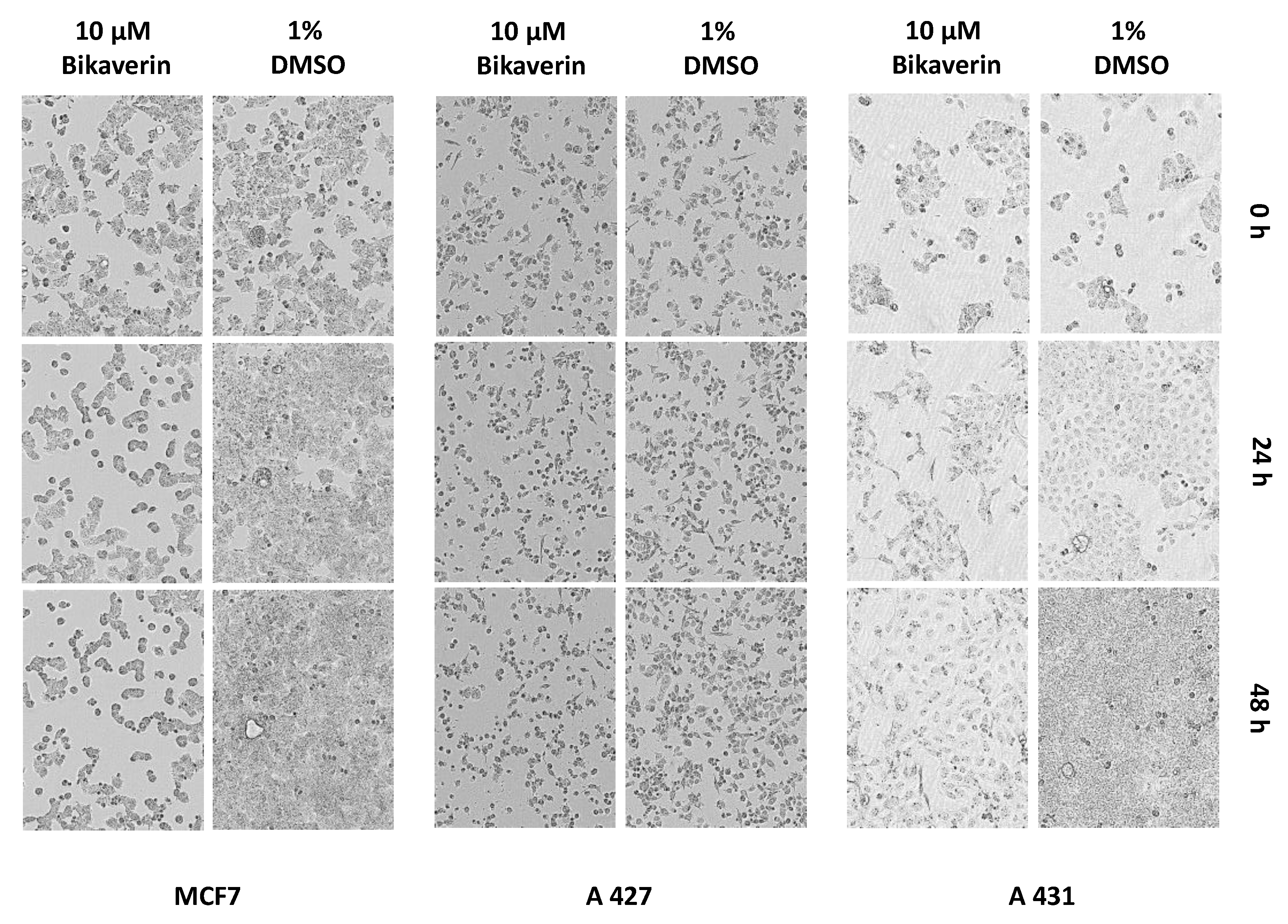 Molecules 24 01380 g008