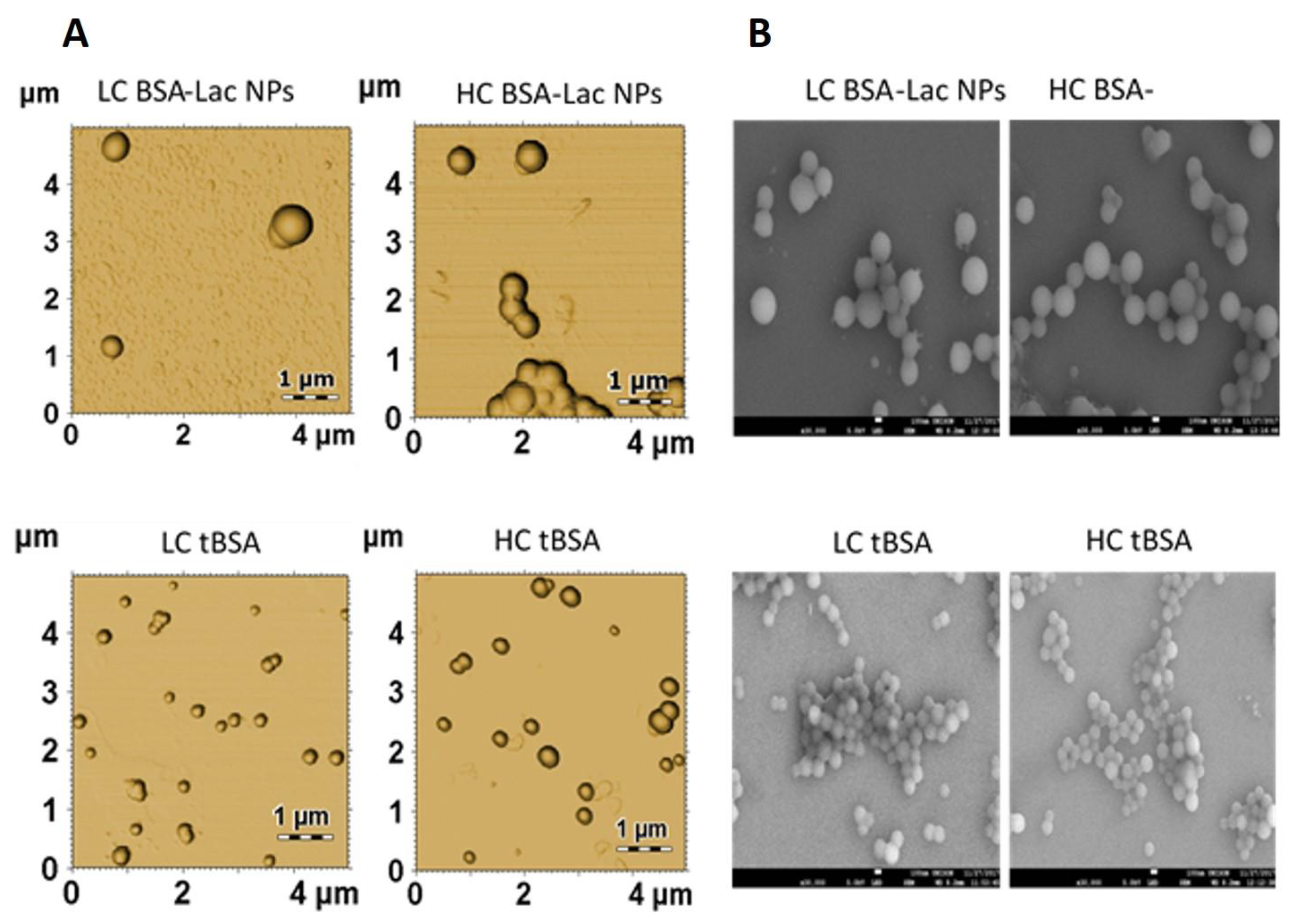 Molecules 24 01382 g004