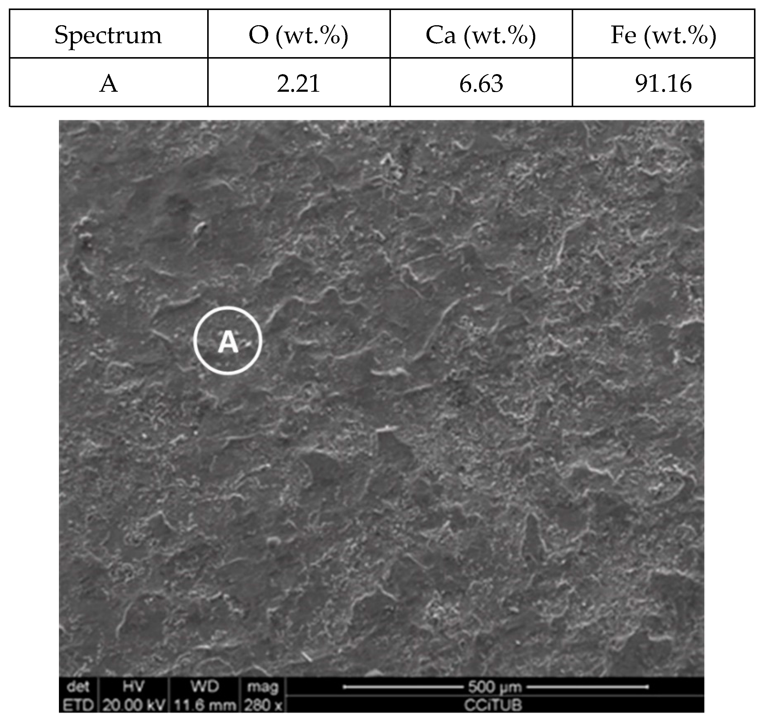 Molecules 24 01383 g004