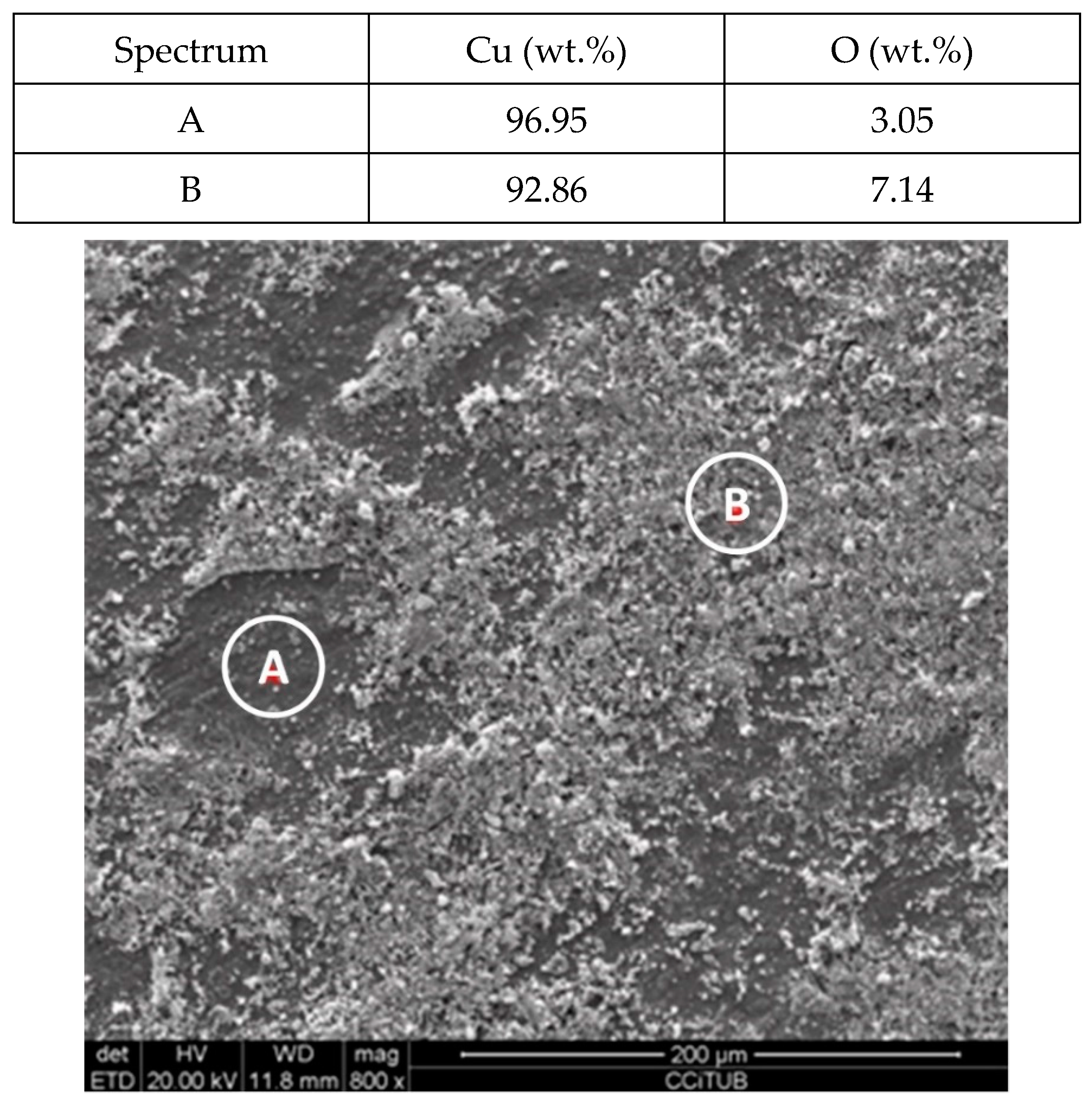 Molecules 24 01383 g007