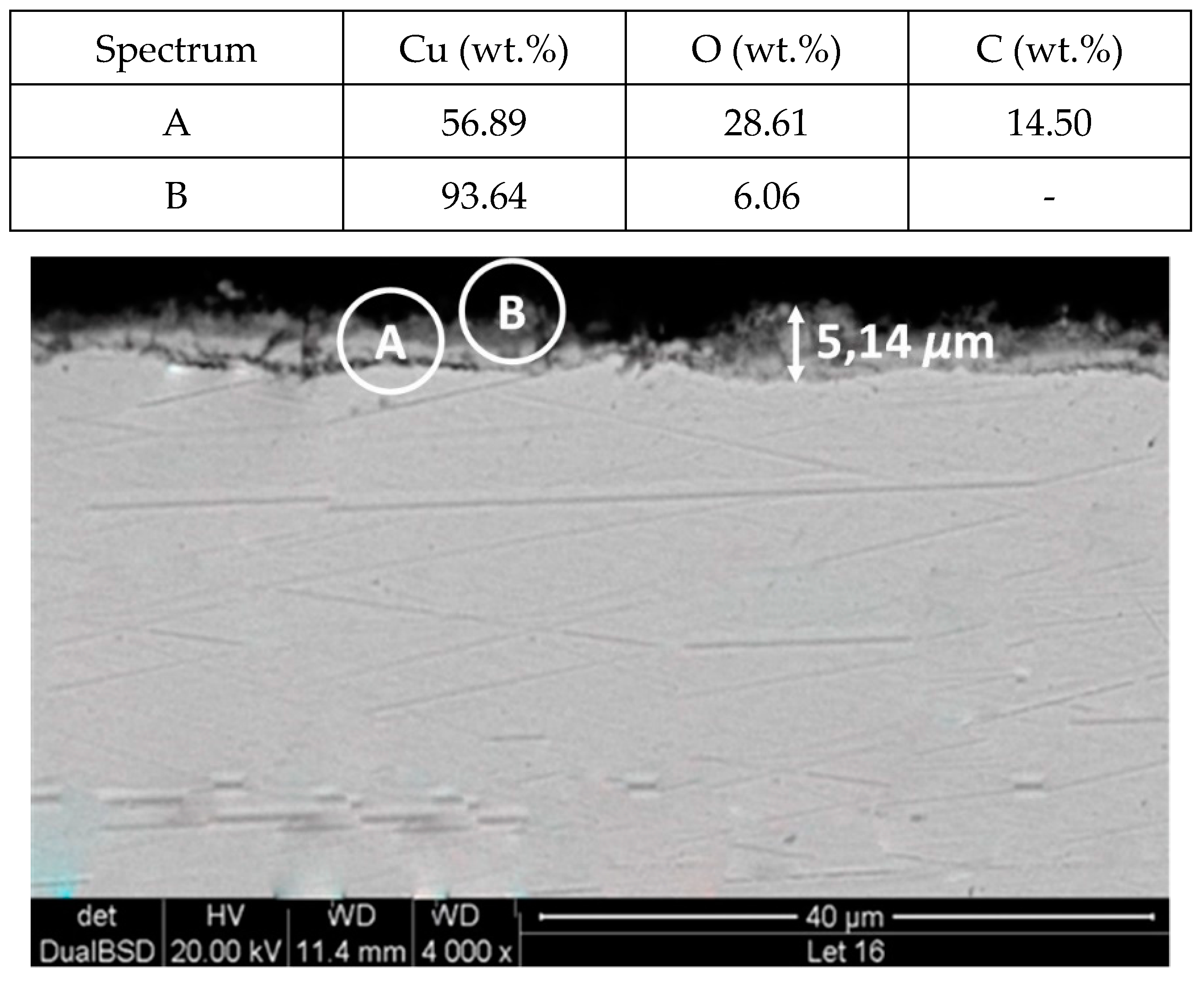 Molecules 24 01383 g008