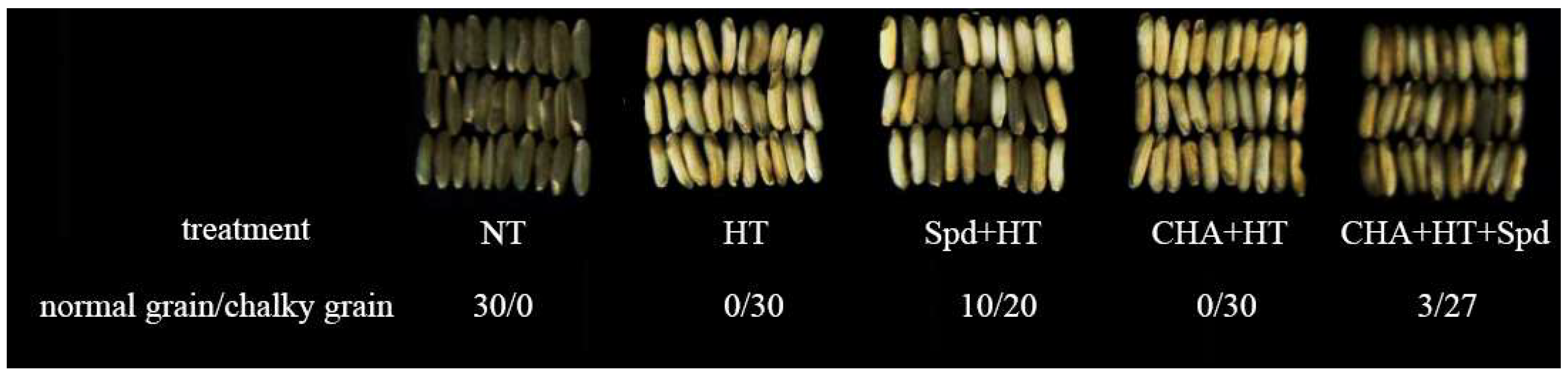 Molecules 24 01395 g001