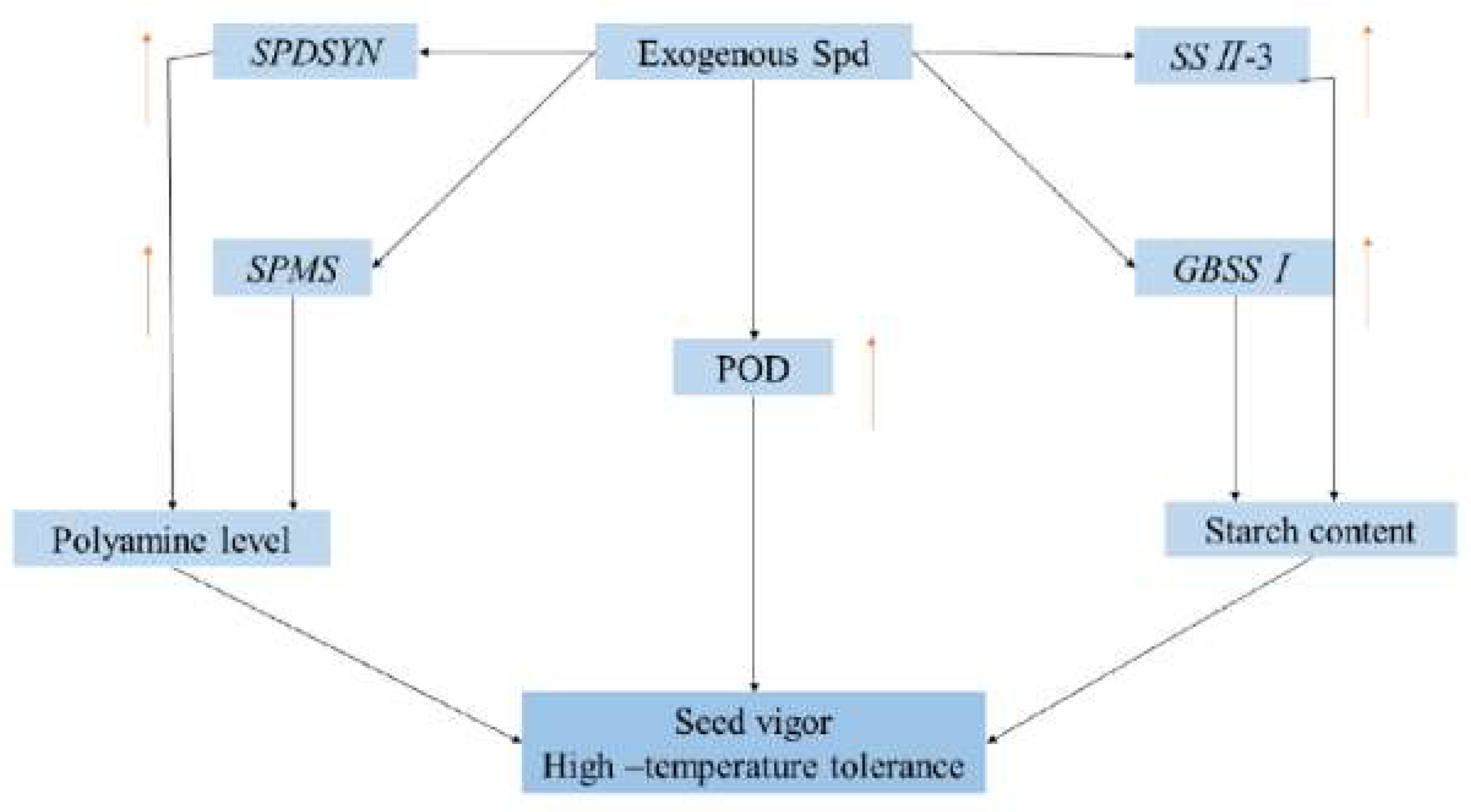 Molecules 24 01395 g008