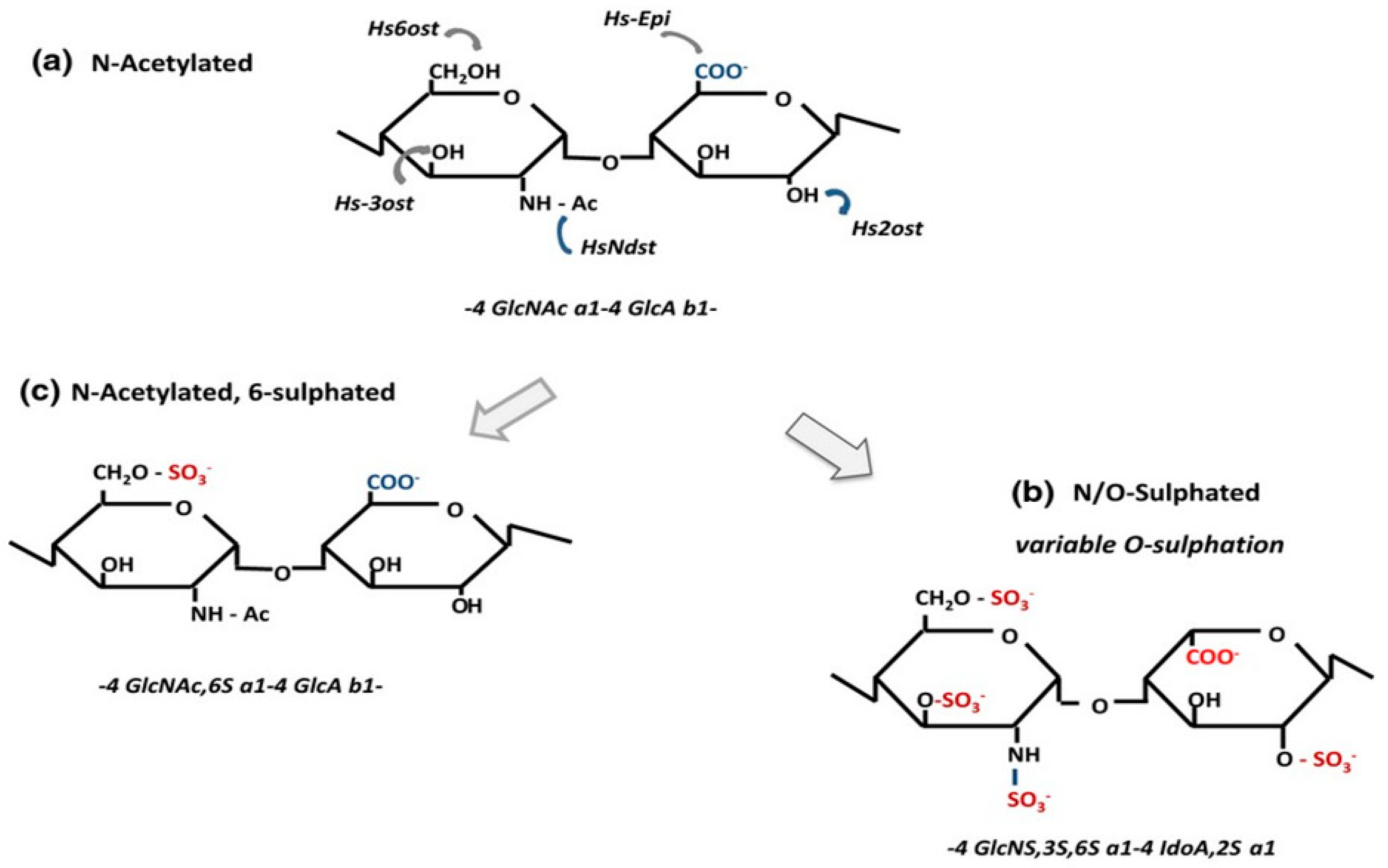 Molecules 24 01399 g001