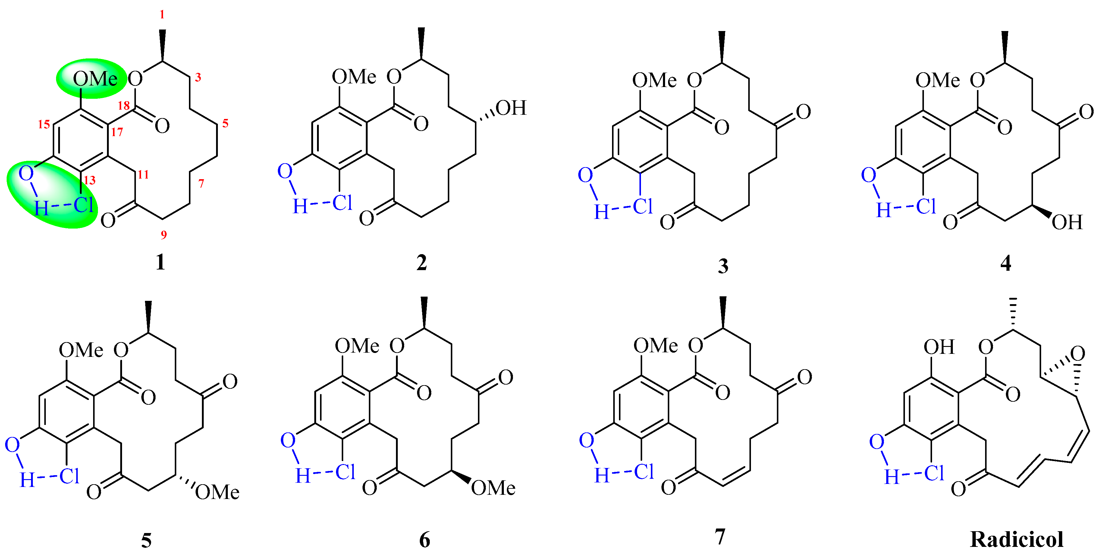 Molecules 24 01405 g001
