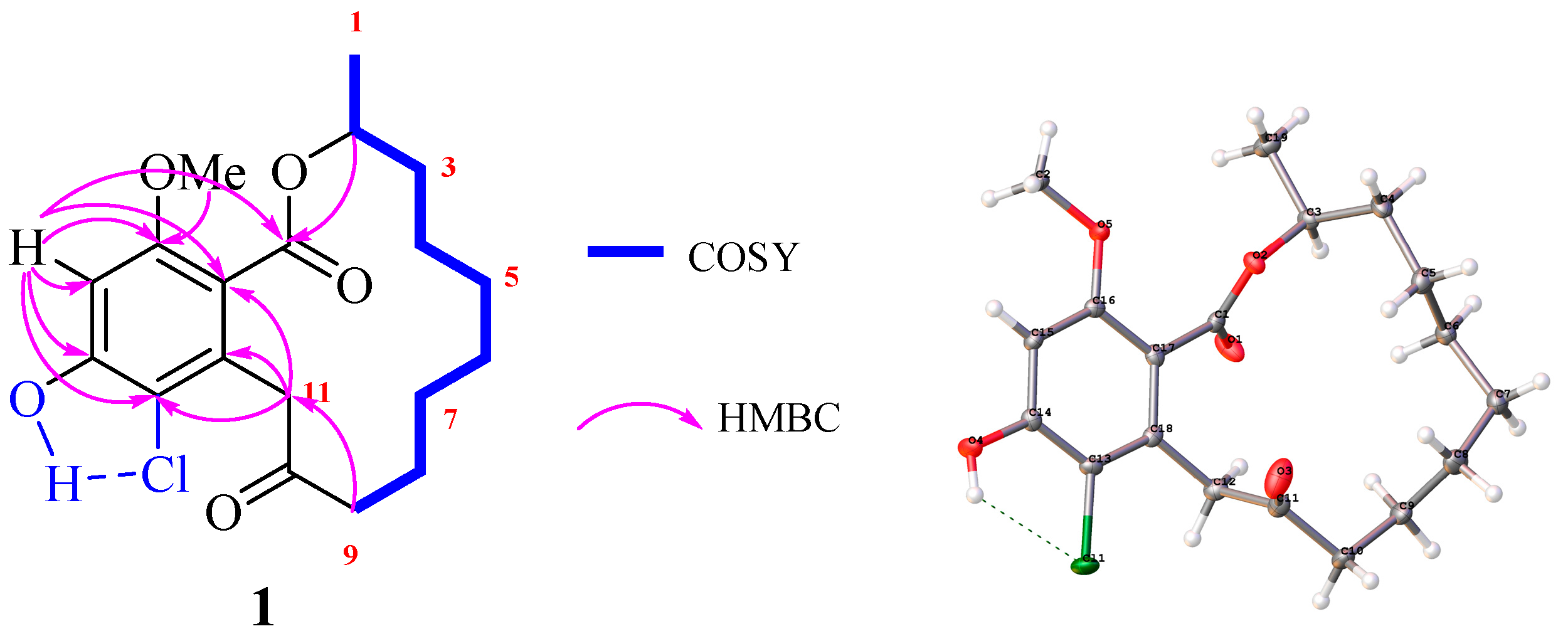 Molecules 24 01405 g002