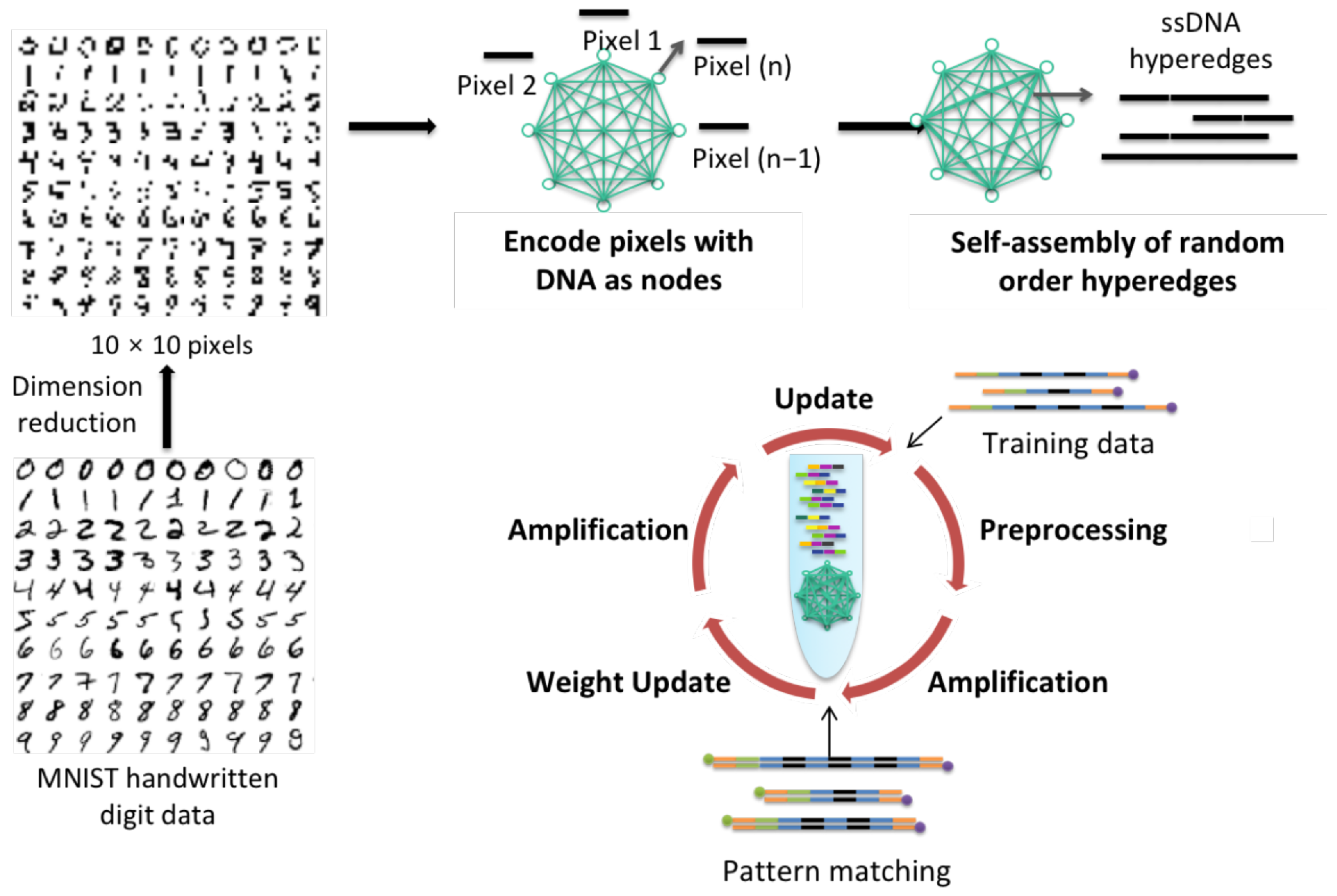 Molecules 24 01409 g001