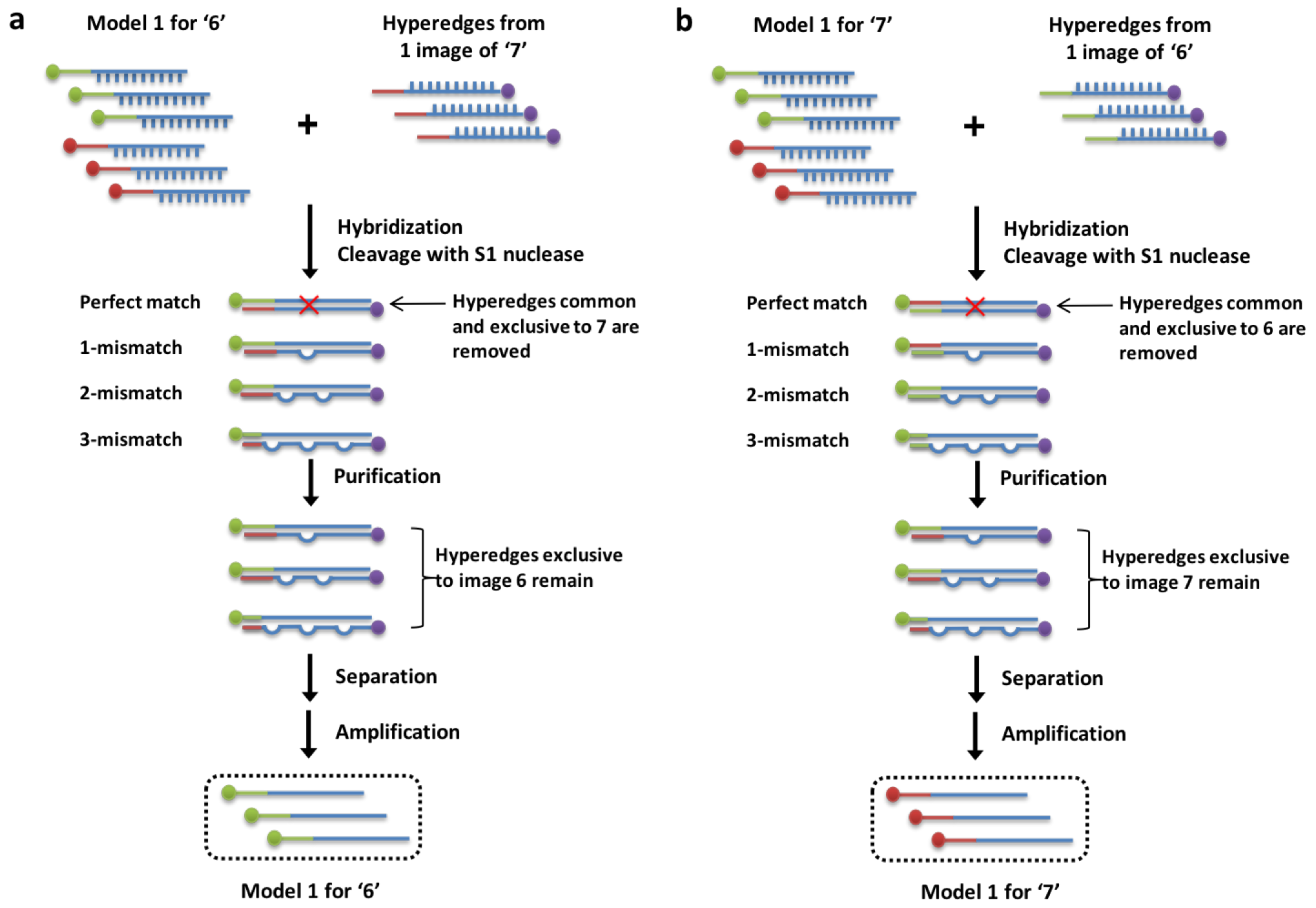 Molecules 24 01409 g003