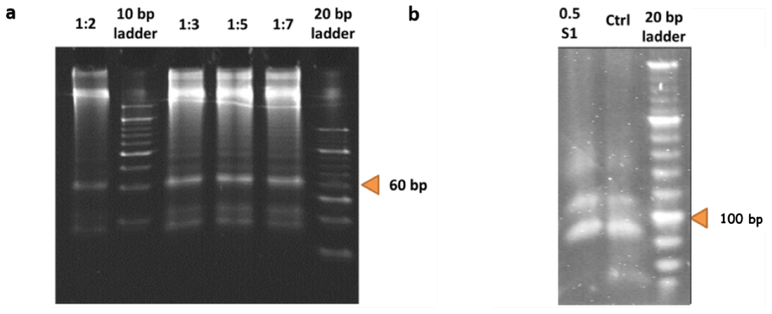 Molecules 24 01409 g007