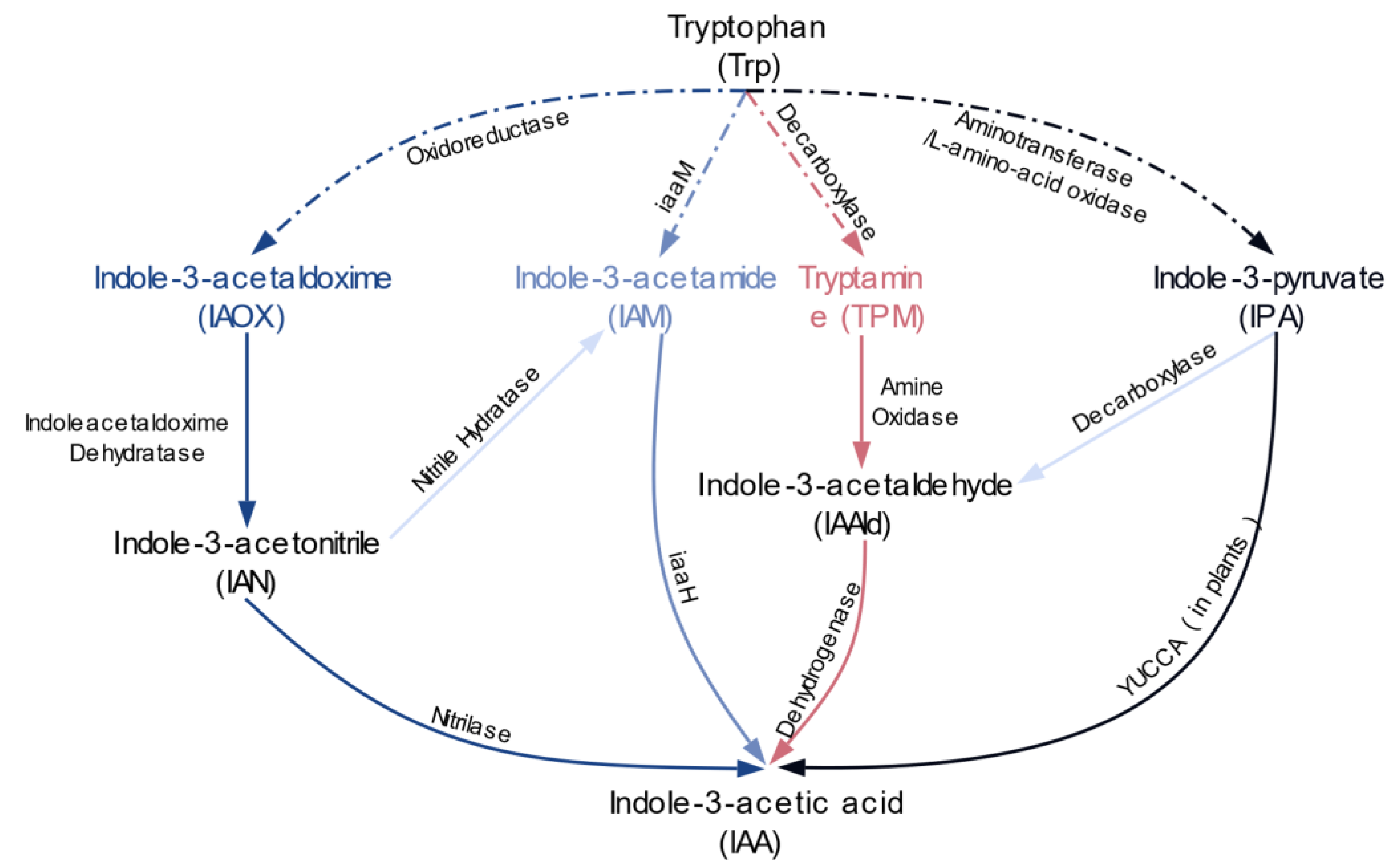 Molecules 24 01411 g001