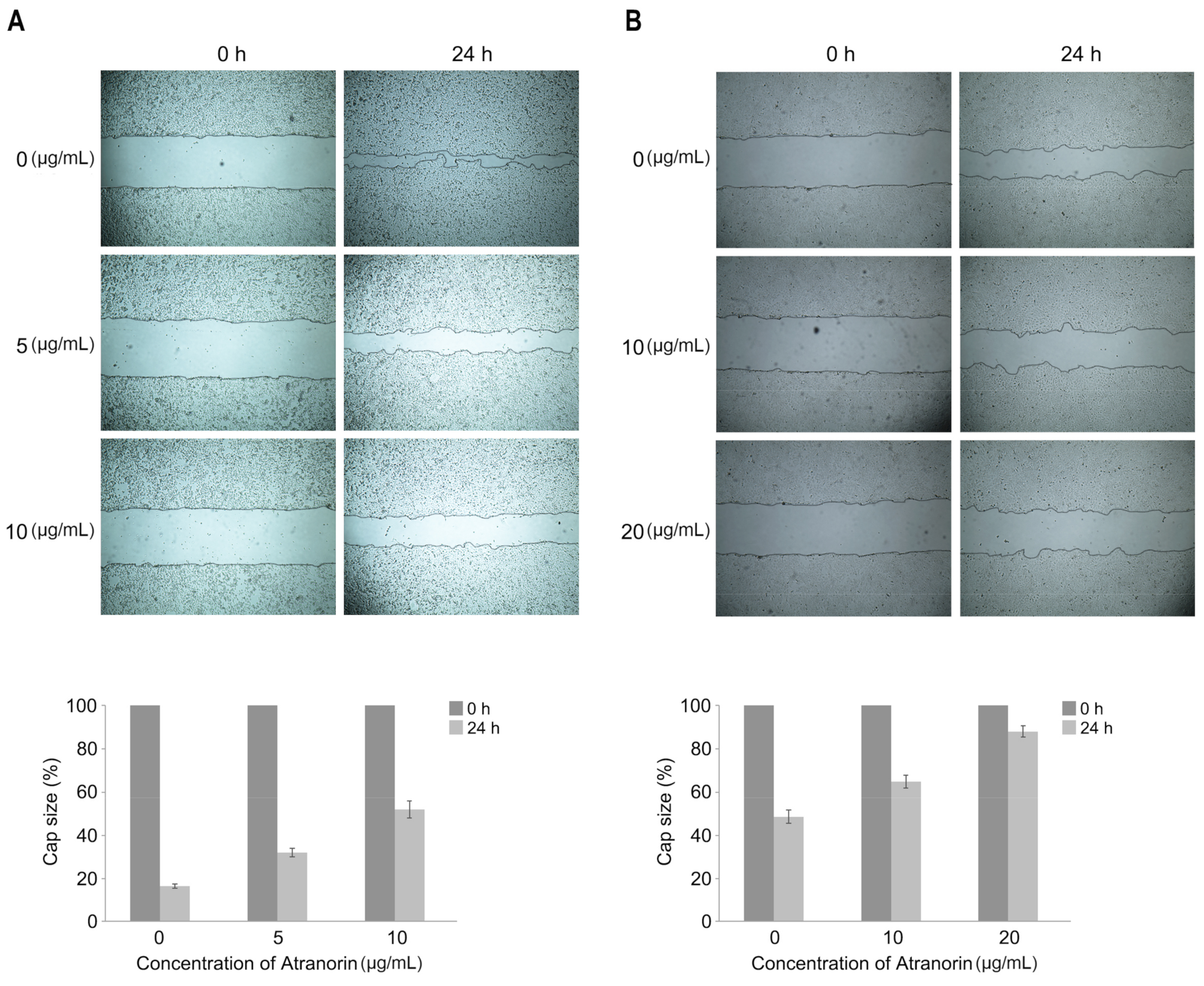 Molecules 24 01414 g005 Molecules 24 01414 g005