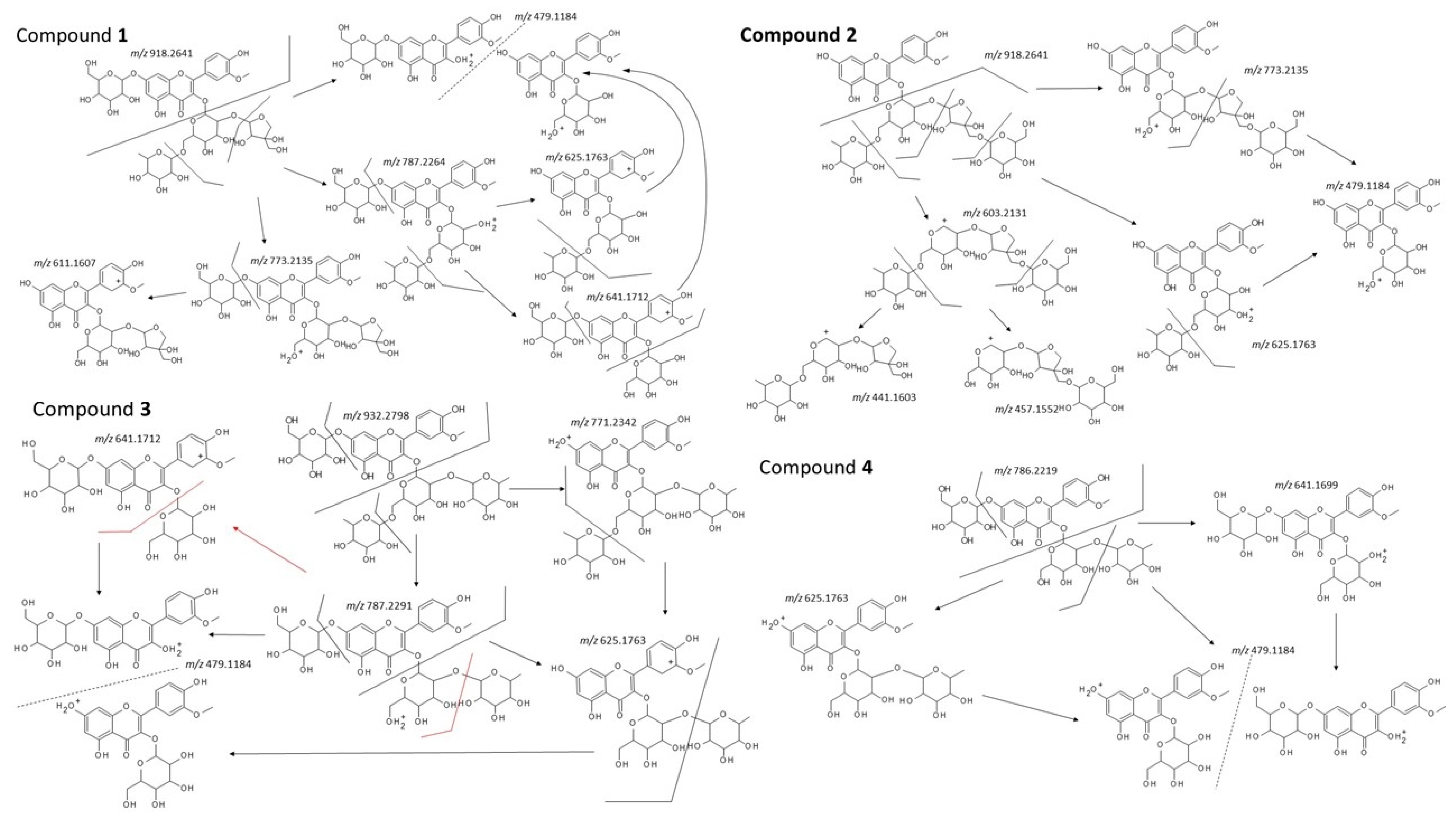 Molecules 24 01419 g004