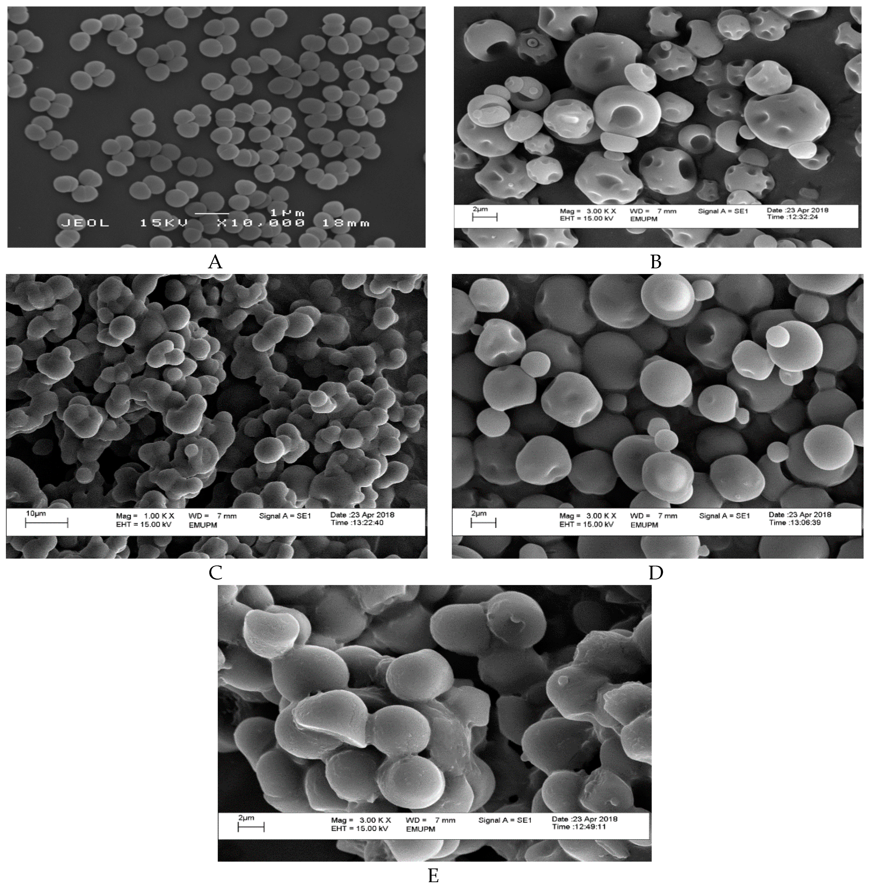 Molecules 24 01422 g001