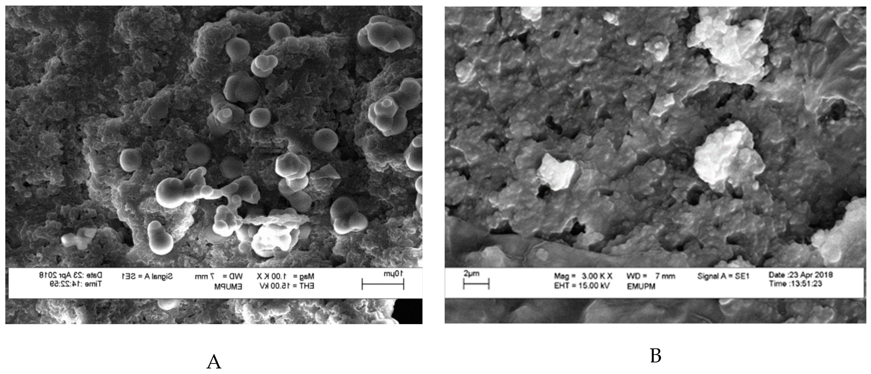 Molecules 24 01422 g006