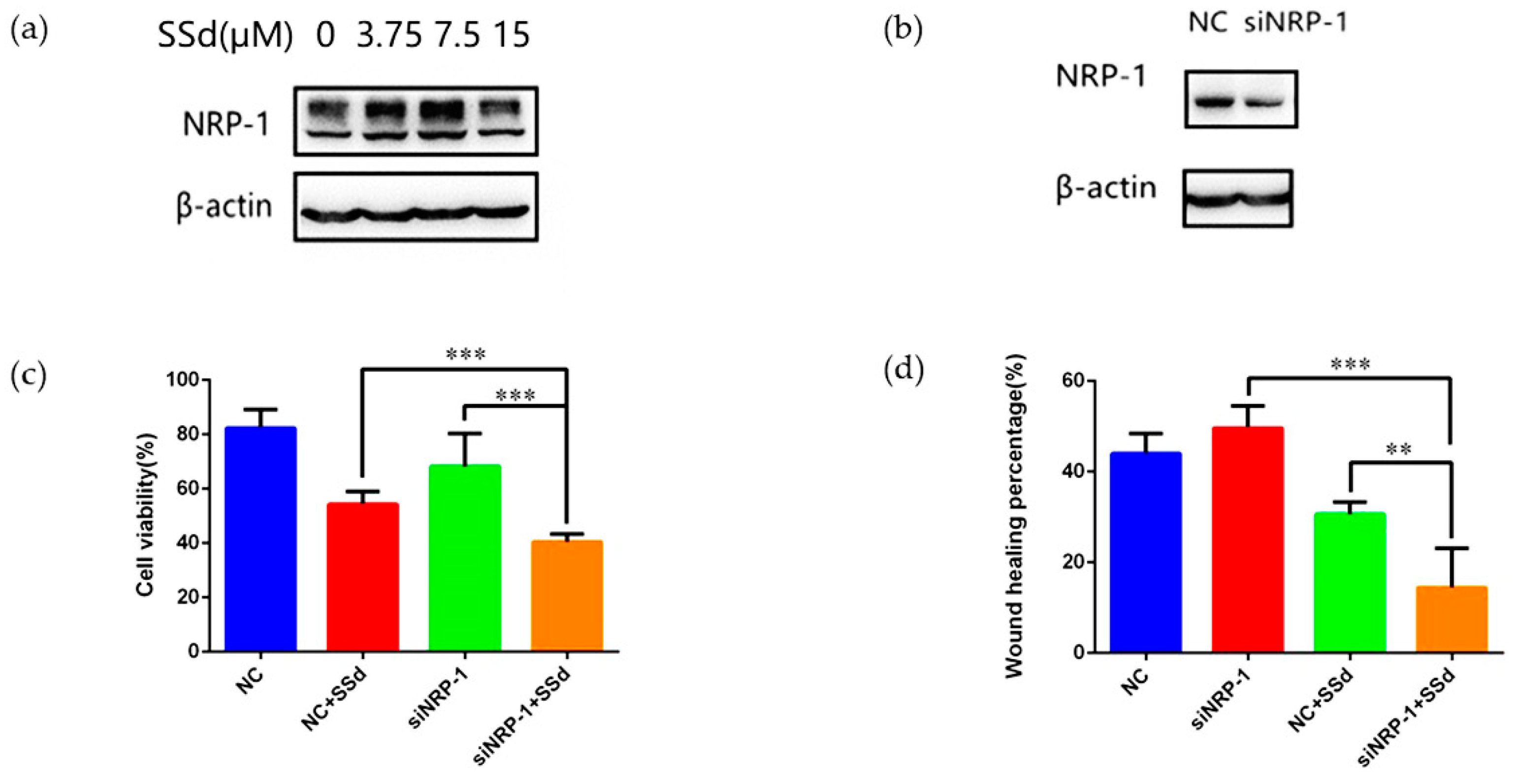 Molecules 24 01423 g002 Molecules 24 01423 g002