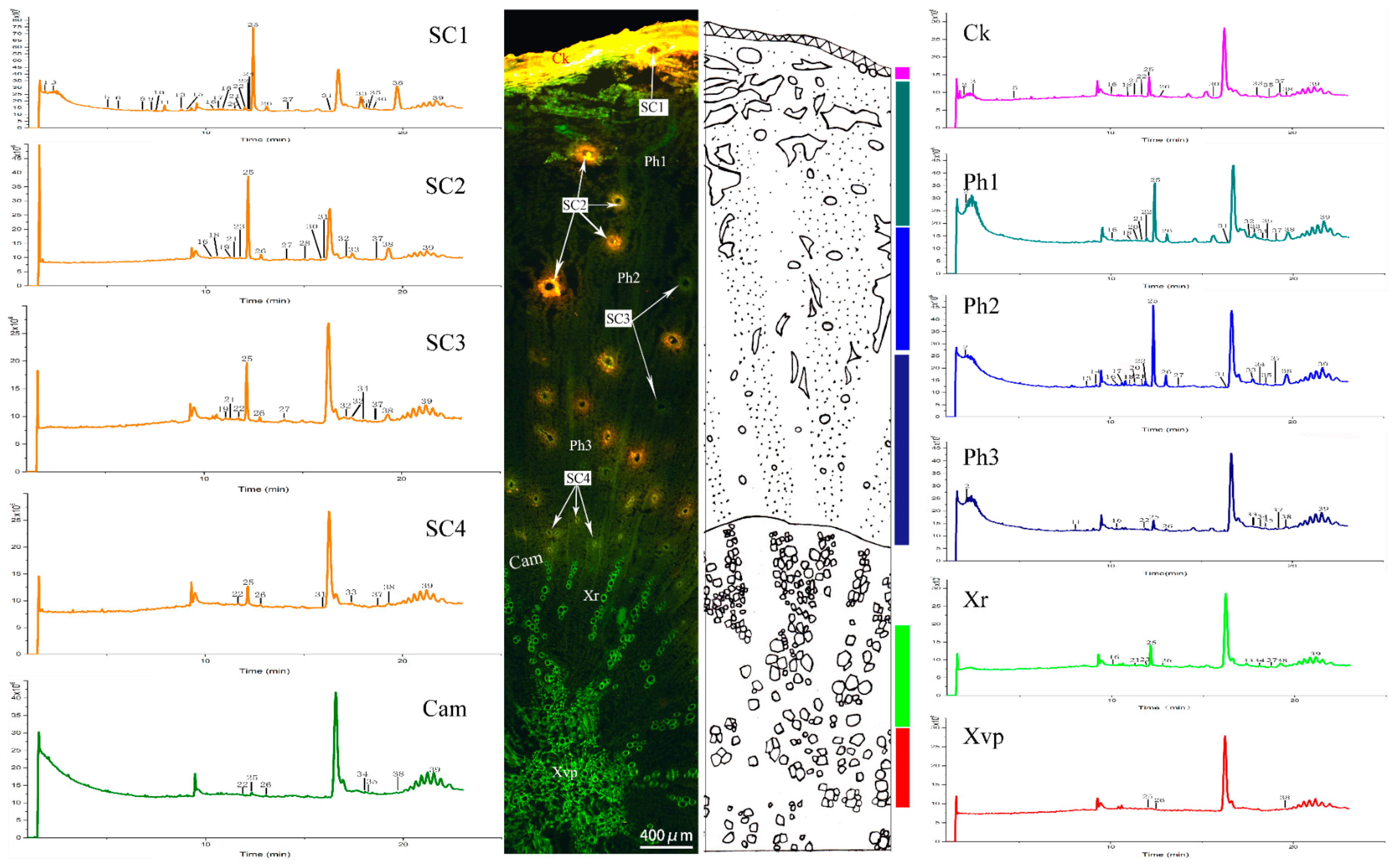 Molecules 24 01439 g003