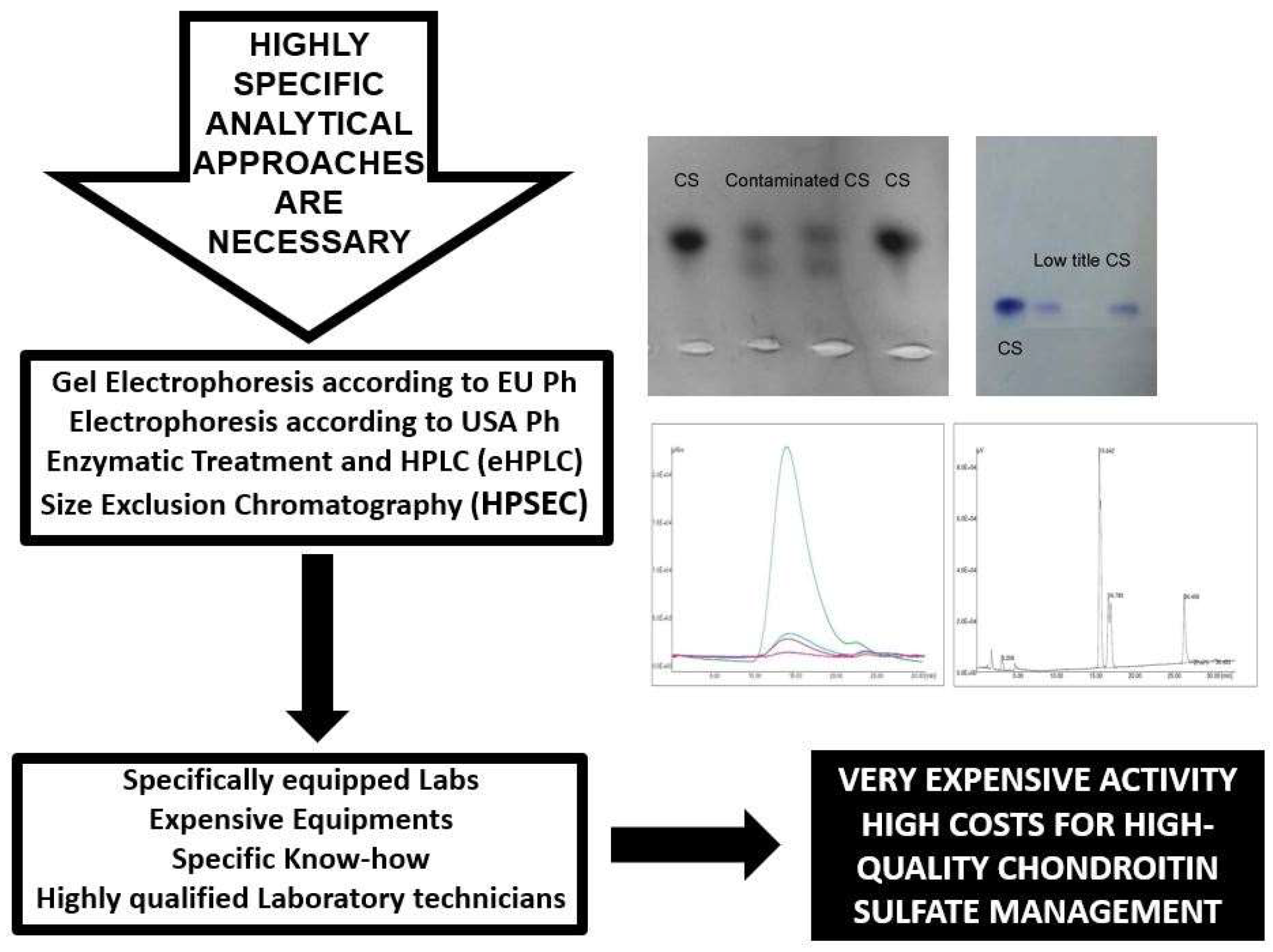 Molecules 24 01447 g008