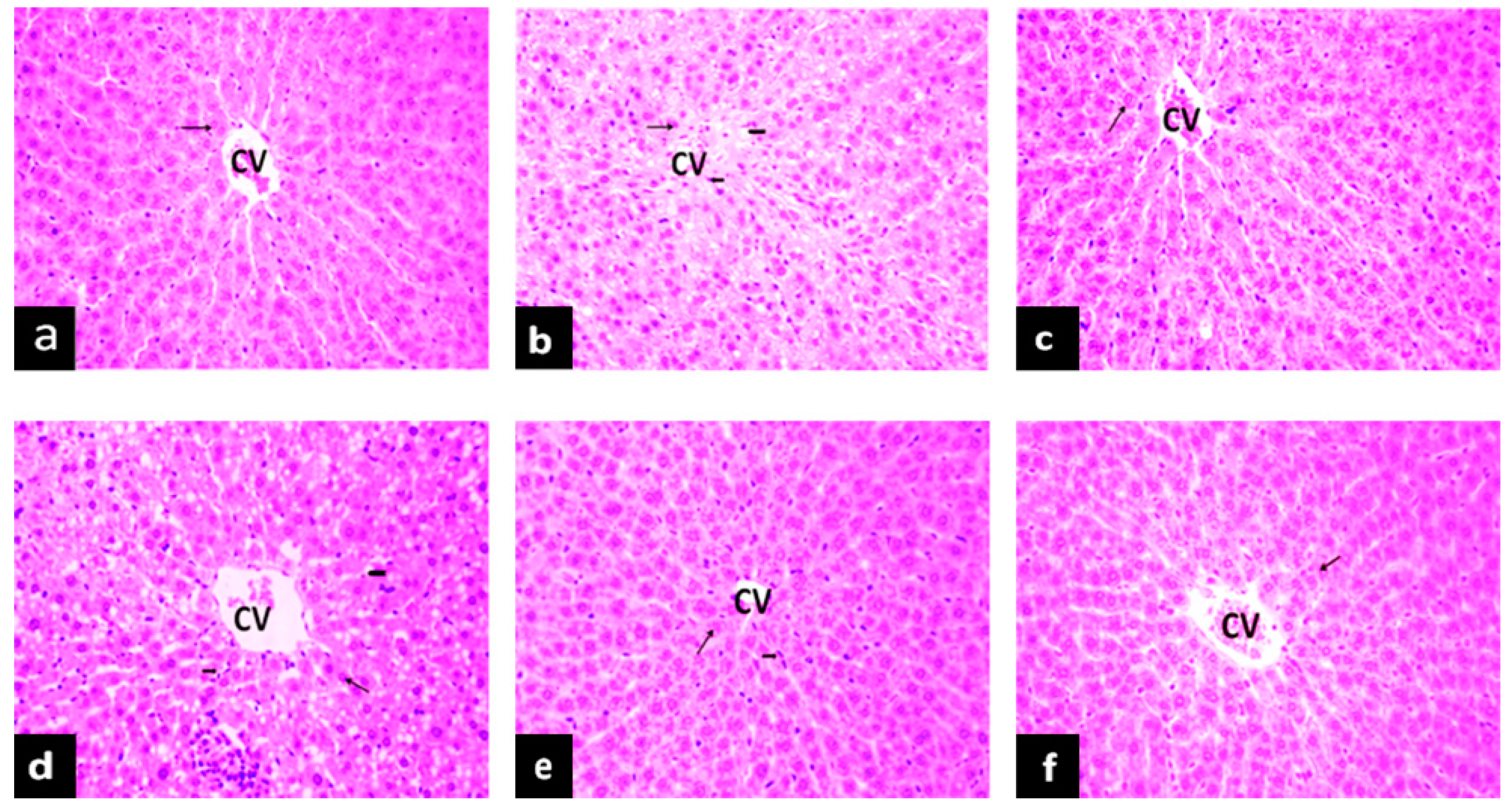 Molecules 24 01454 g004 Molecules 24 01454 g004