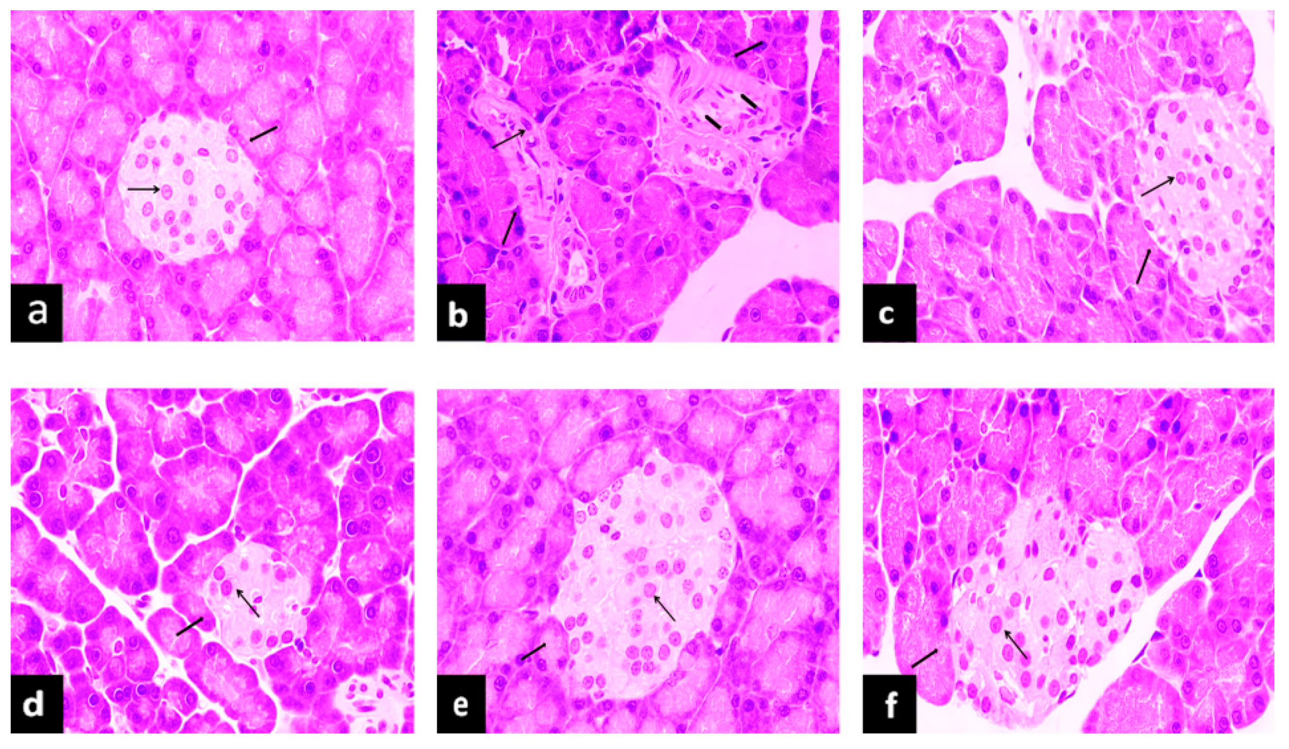 Molecules 24 01454 g006 Molecules 24 01454 g006