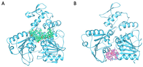 Discovery and Computational Analyses of Novel Small Molecule Zika 
