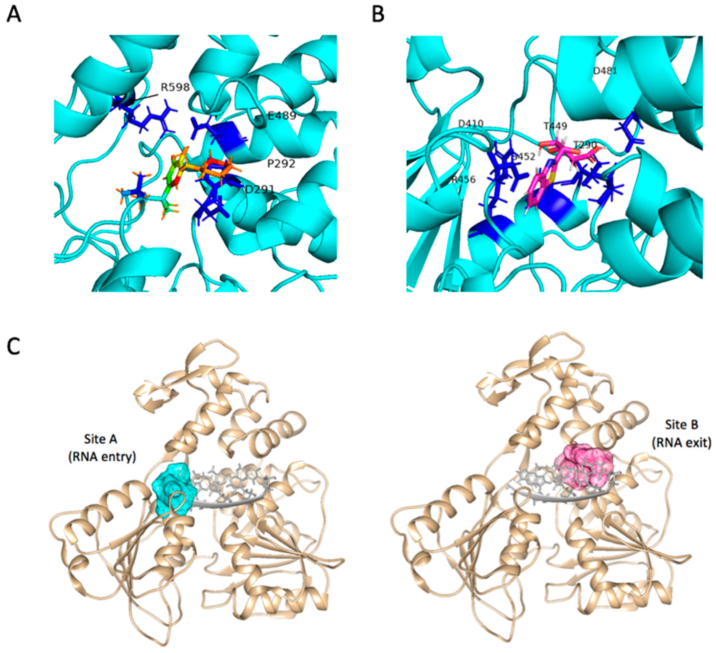 Molecules 24 01465 g006