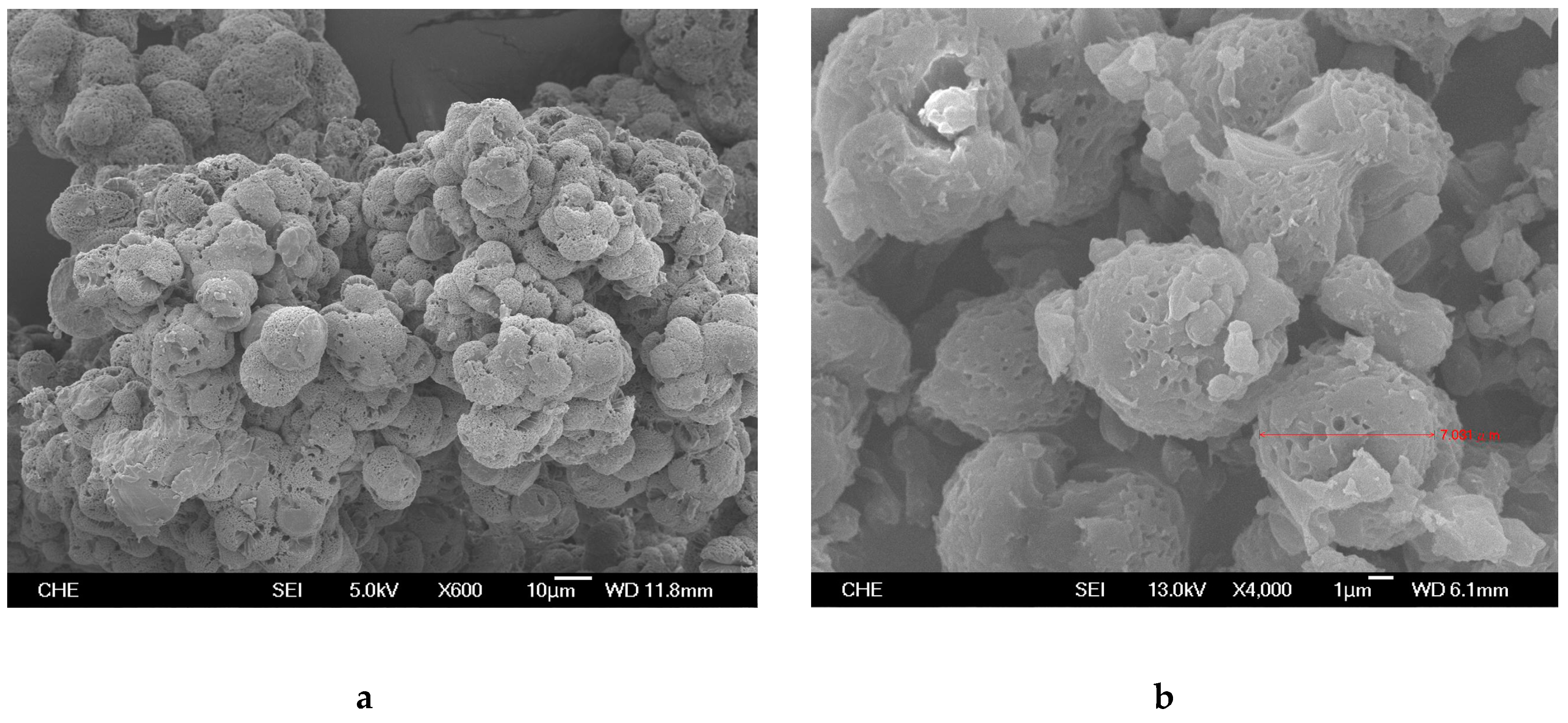 Molecules 24 01467 g006