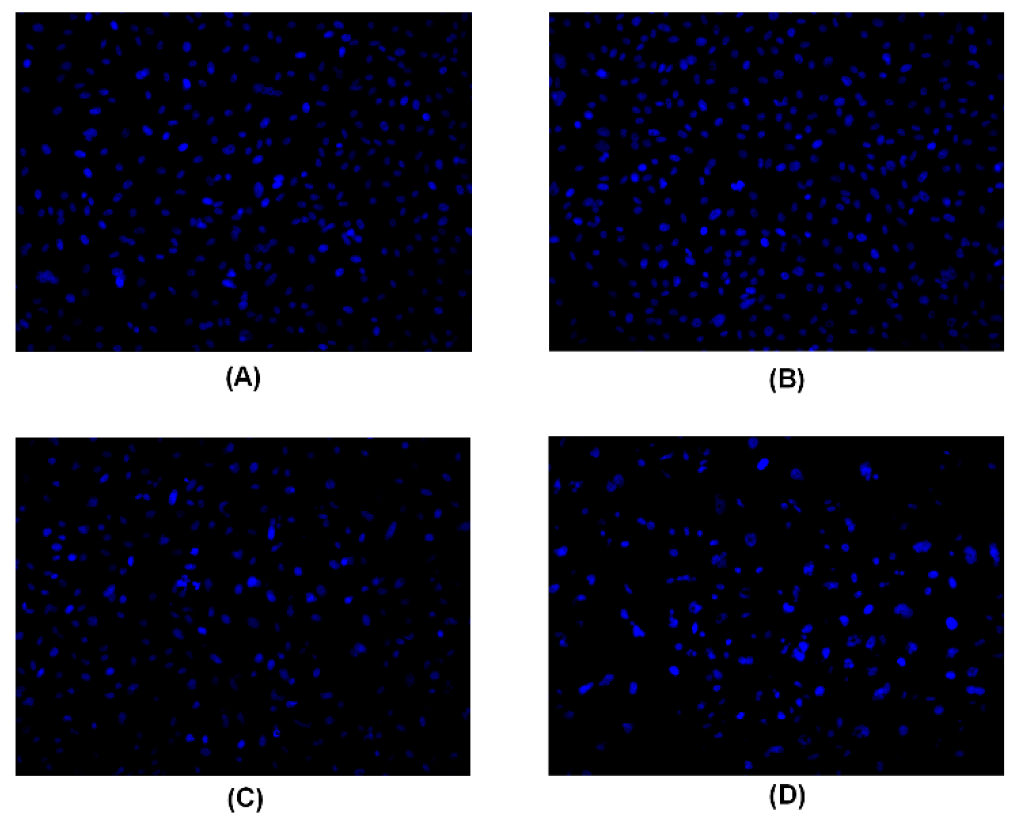 Molecules 24 01472 g003