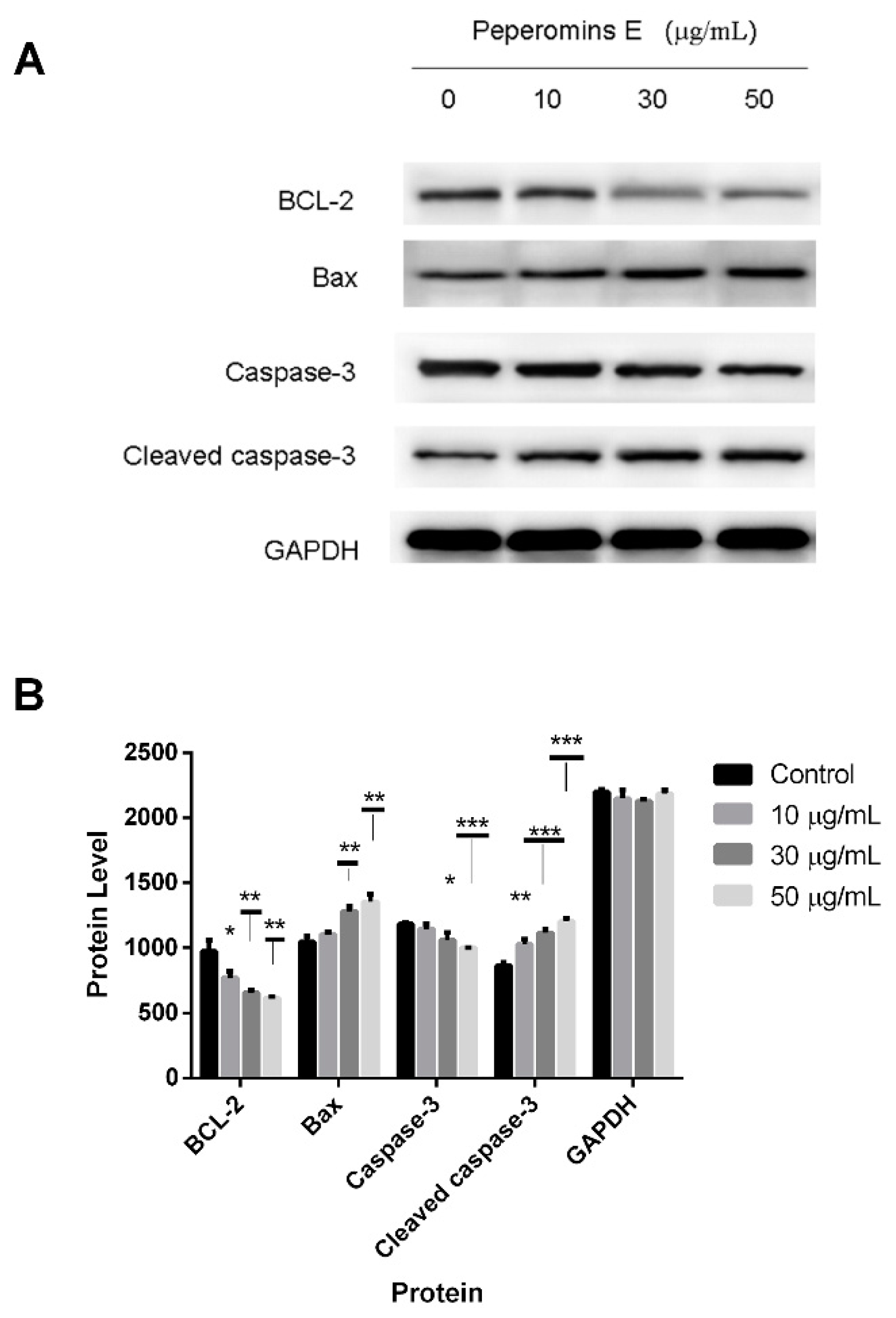 Molecules 24 01472 g006