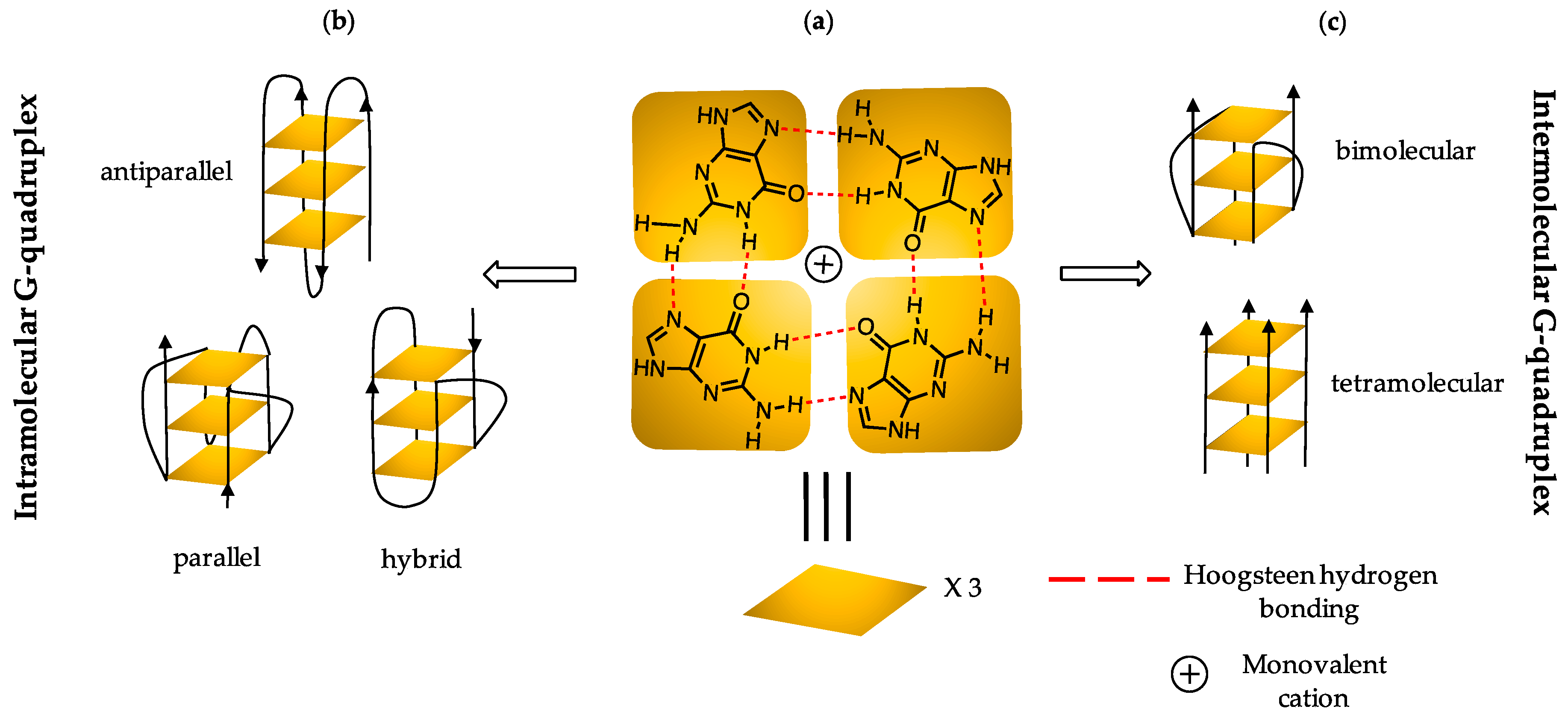 Molecules 24 01473 g001 Molecules 24 01473 g001