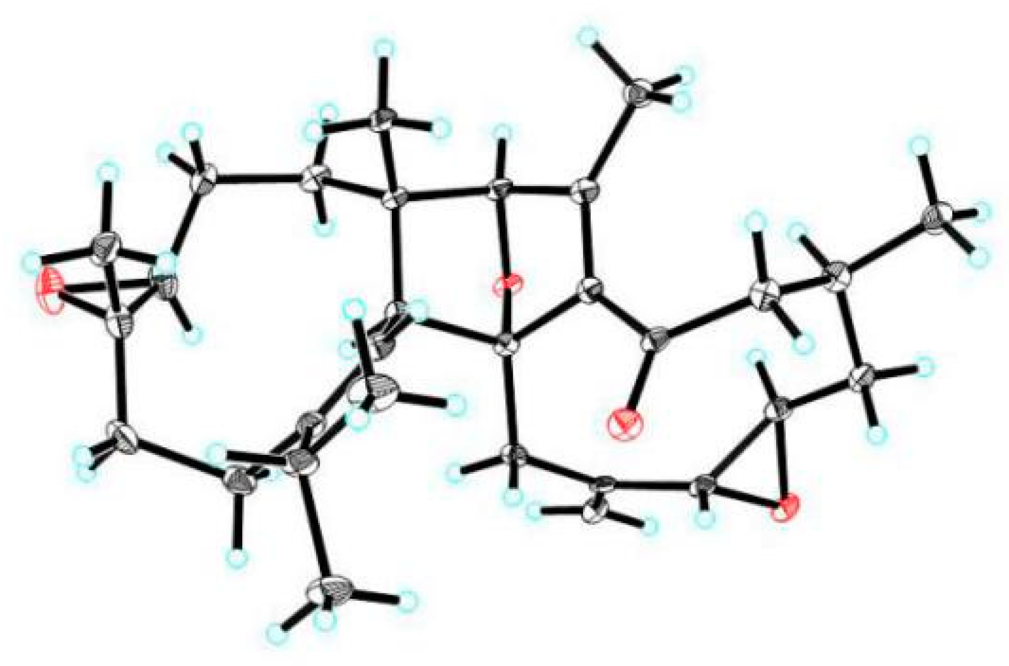 Molecules 24 01475 g005