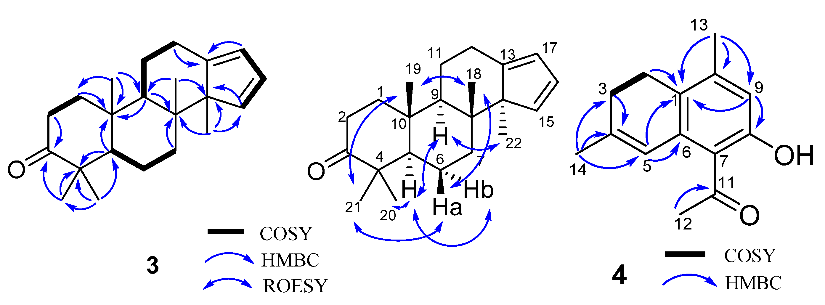 Molecules 24 01475 g006
