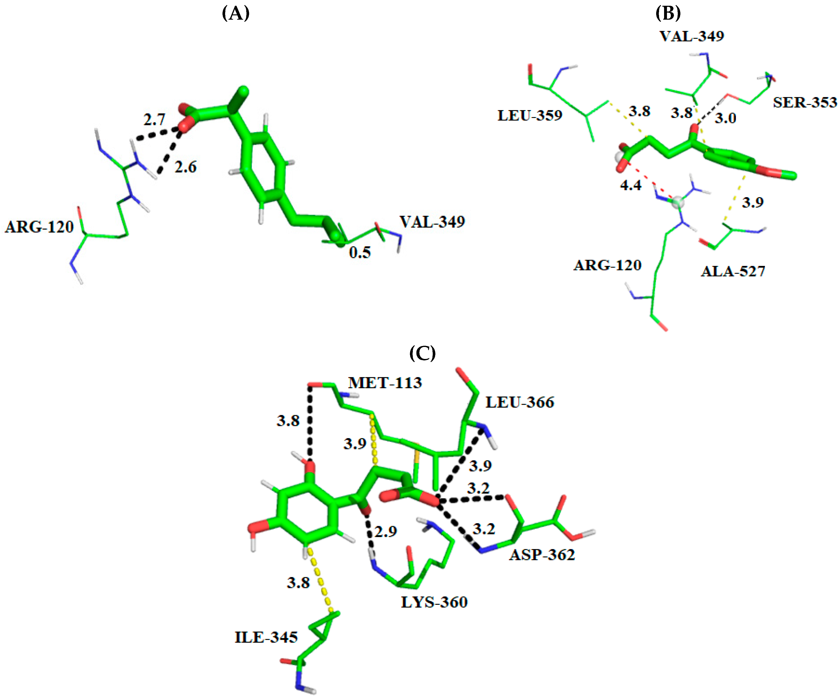 Molecules 24 01476 g006 Molecules 24 01476 g006