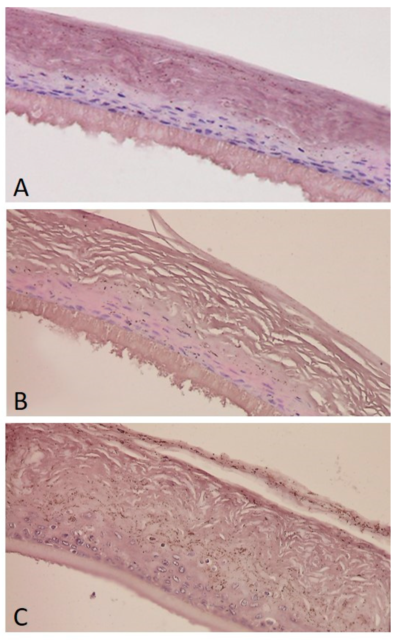 Molecules 24 01479 g007 Molecules 24 01479 g007