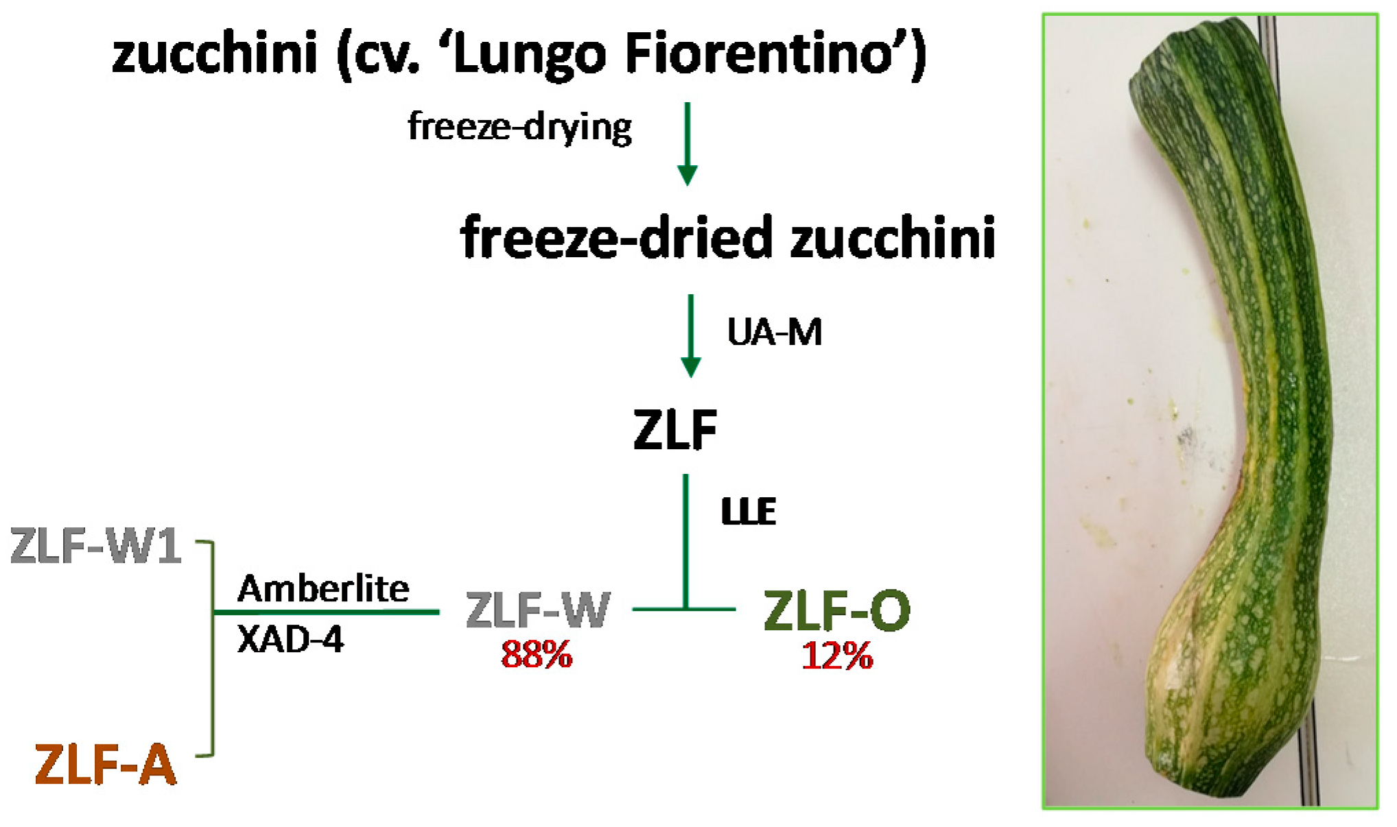 Molecules 24 01479 g008 Molecules 24 01479 g008