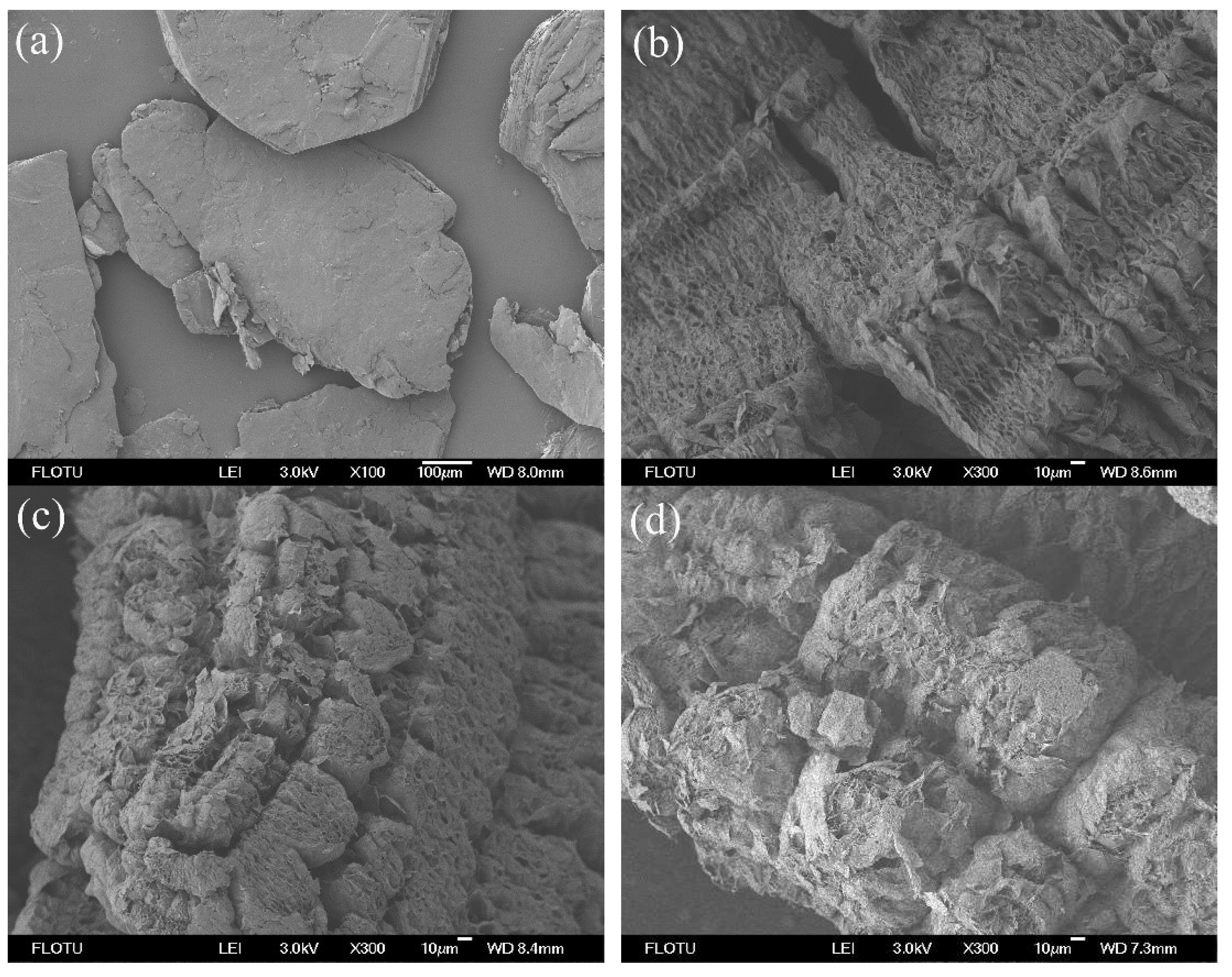 Molecules 24 01482 g002a Molecules 24 01482 g002a