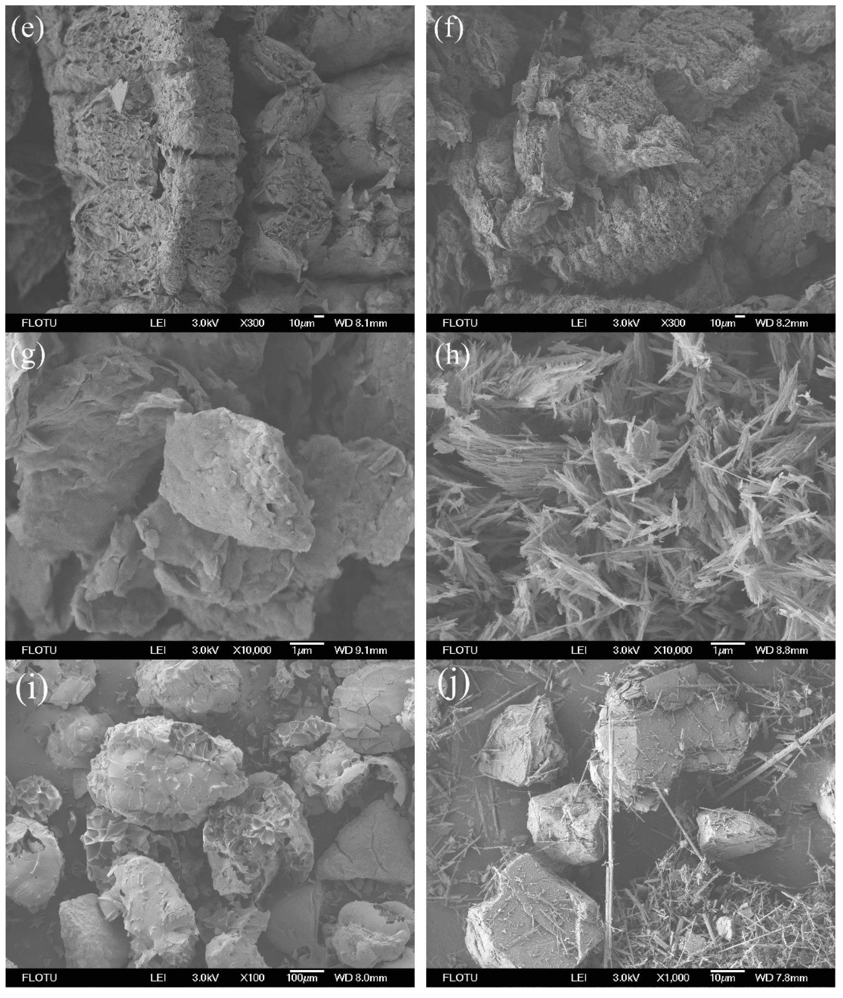 Molecules 24 01482 g002b Molecules 24 01482 g002b