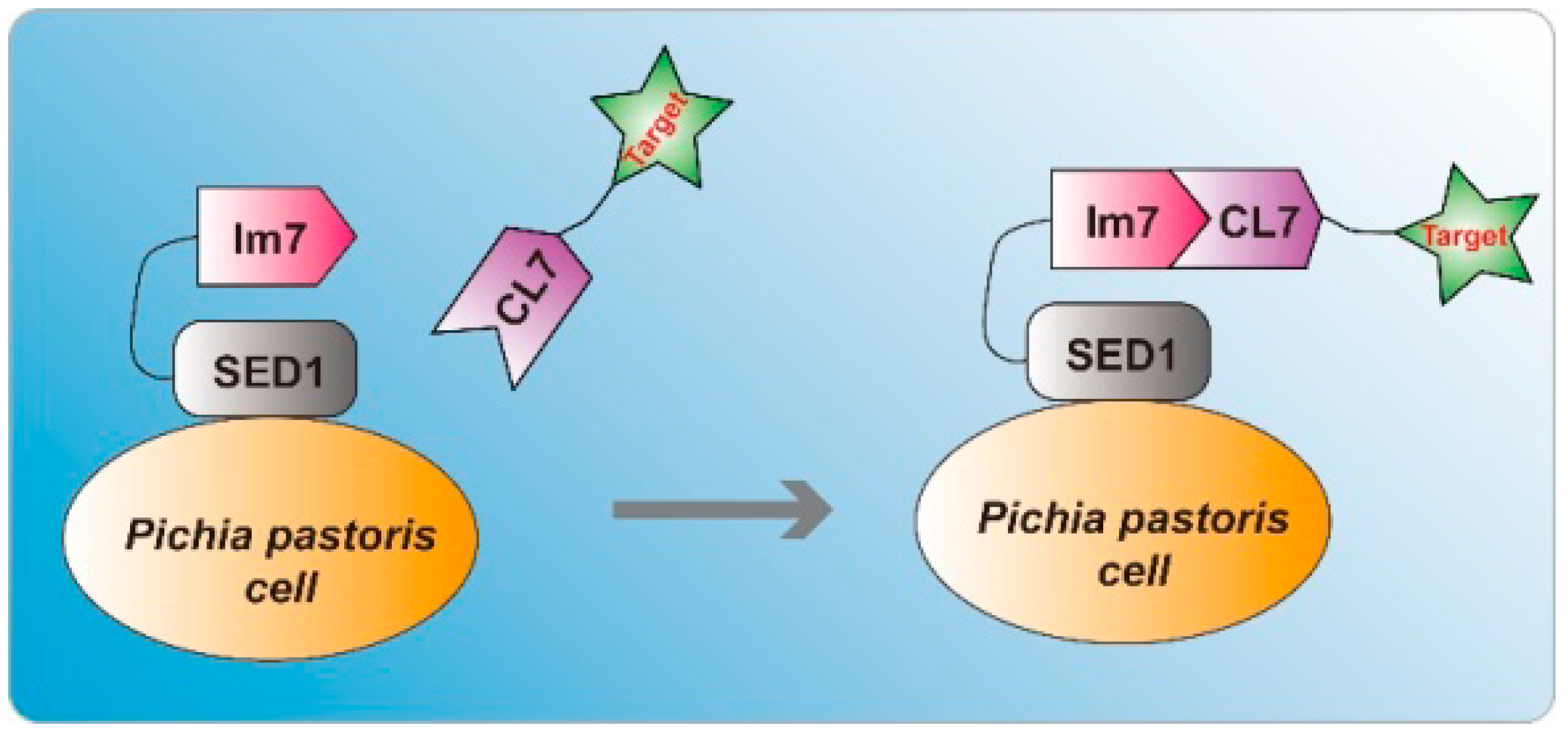 Molecules 24 01483 g001