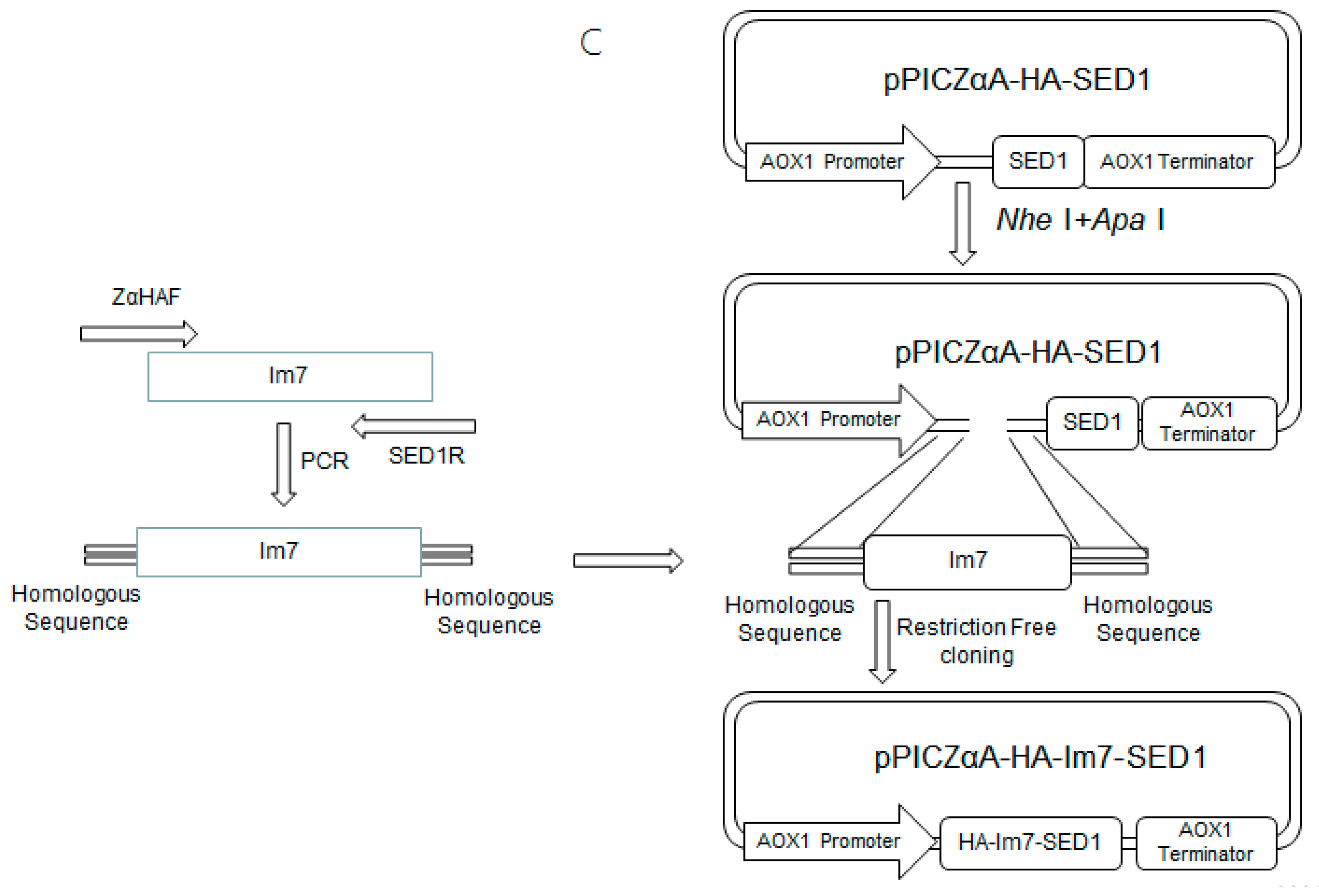 Molecules 24 01483 g002b
