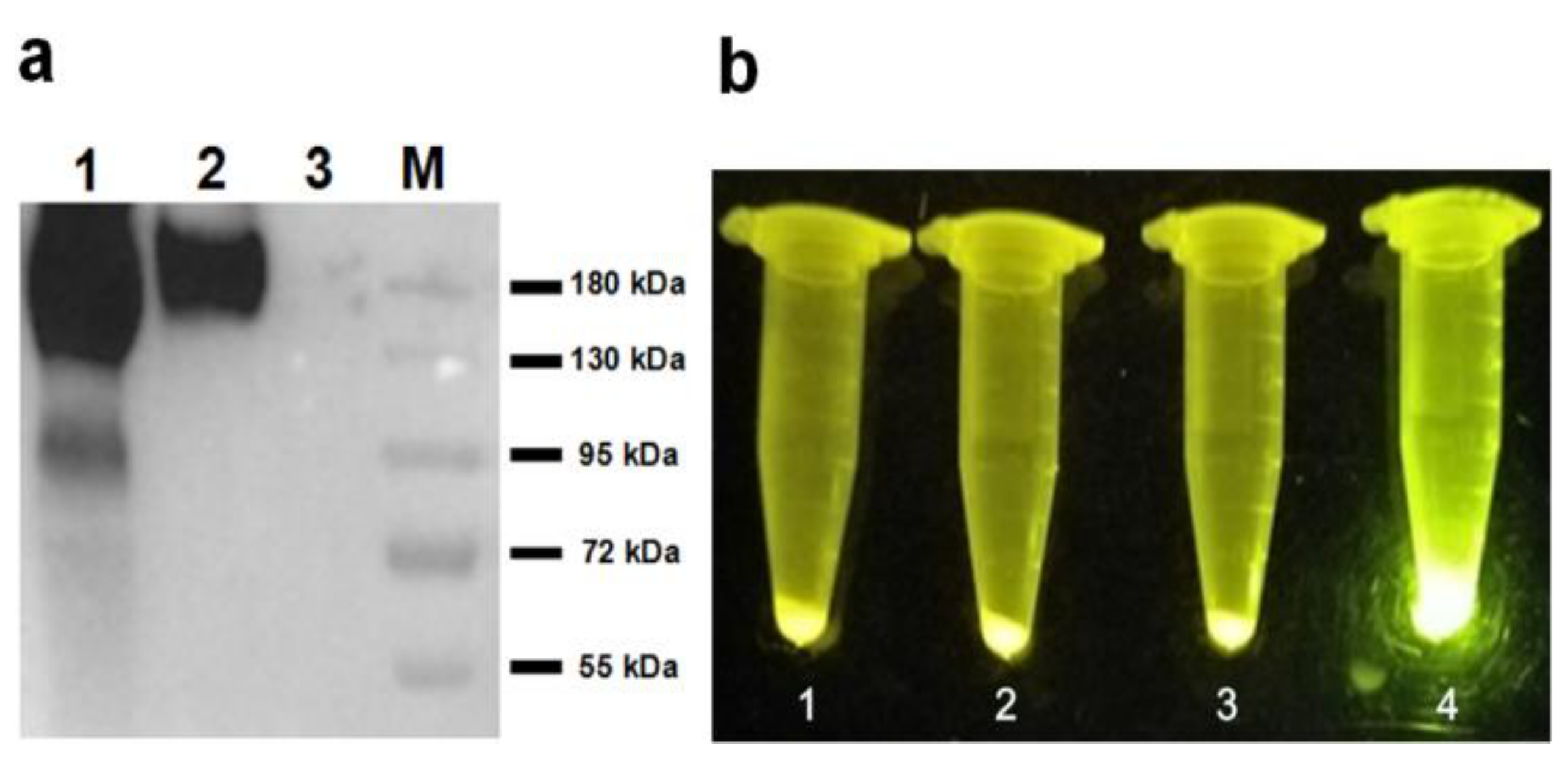 Molecules 24 01483 g006
