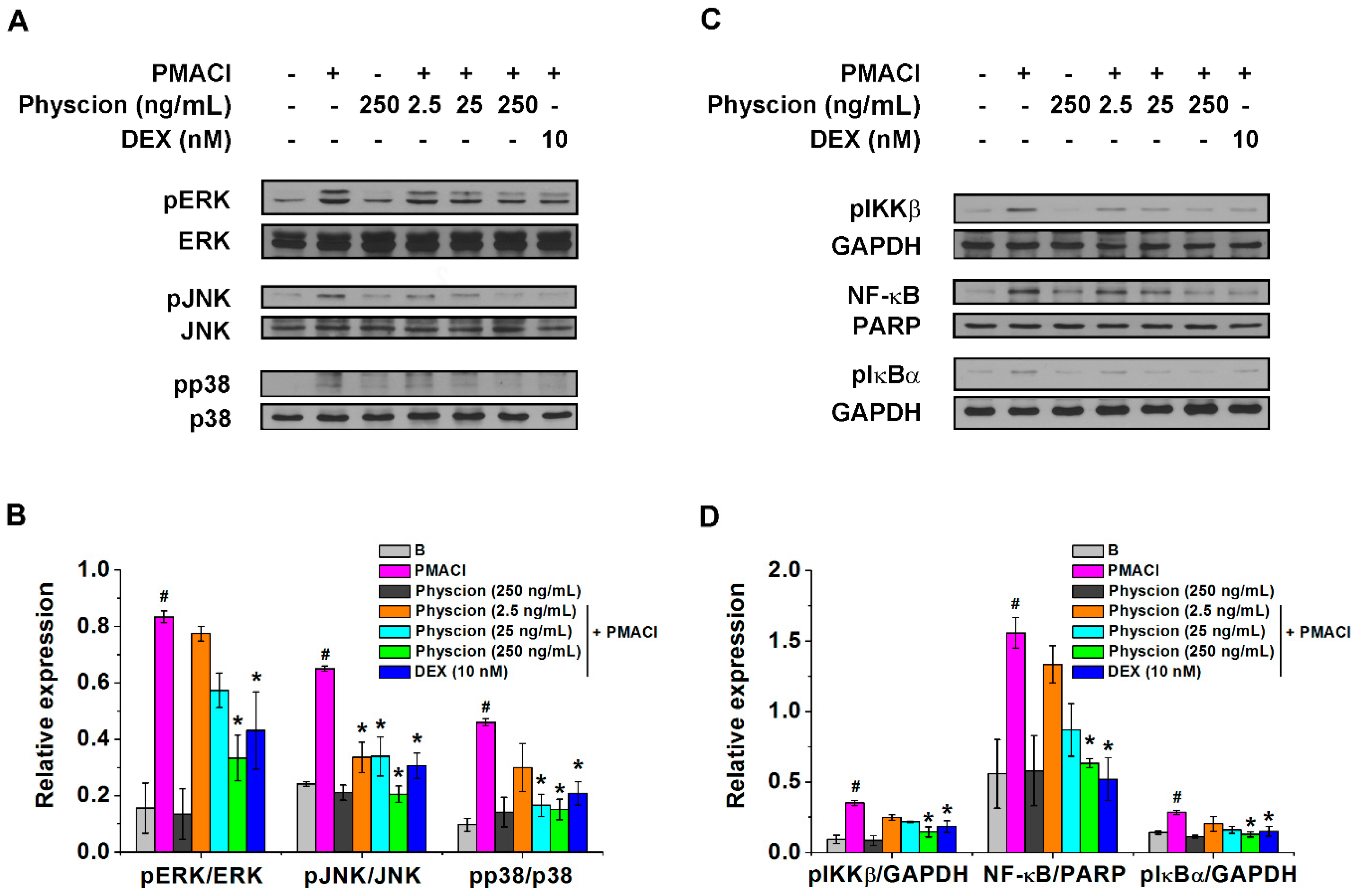 Molecules 24 01484 g004 Molecules 24 01484 g004