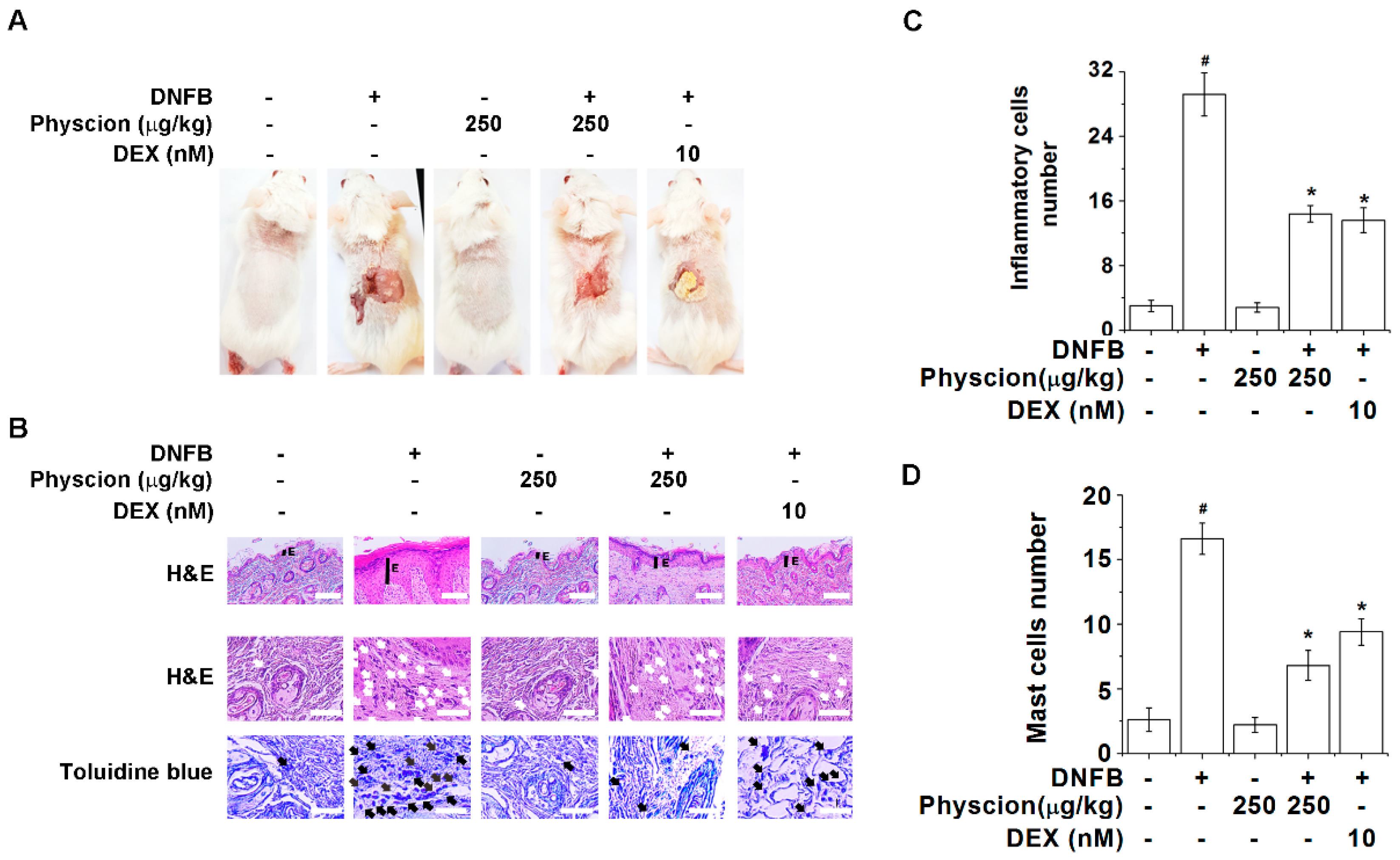 Molecules 24 01484 g005 Molecules 24 01484 g005