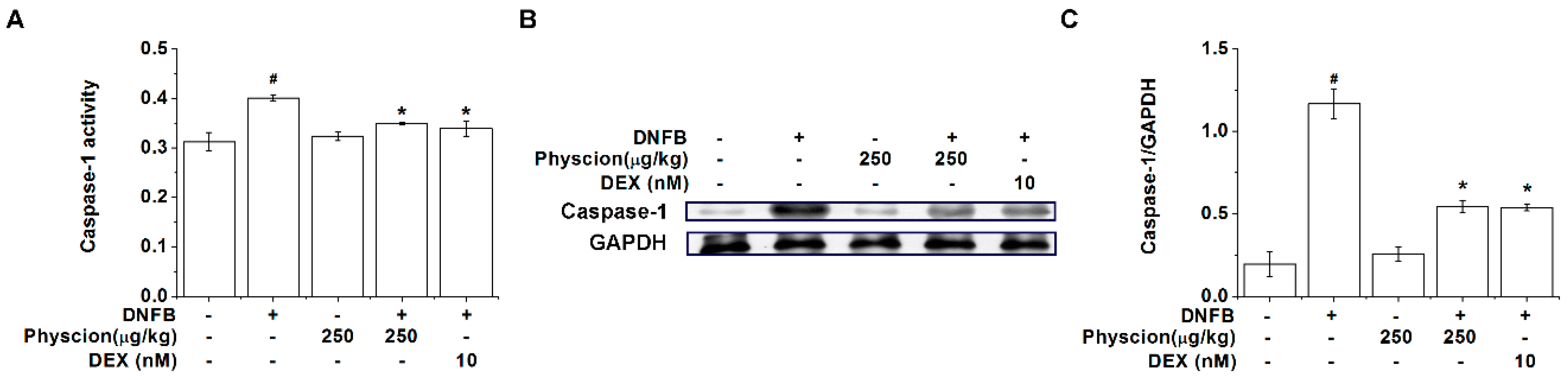 Molecules 24 01484 g008 Molecules 24 01484 g008