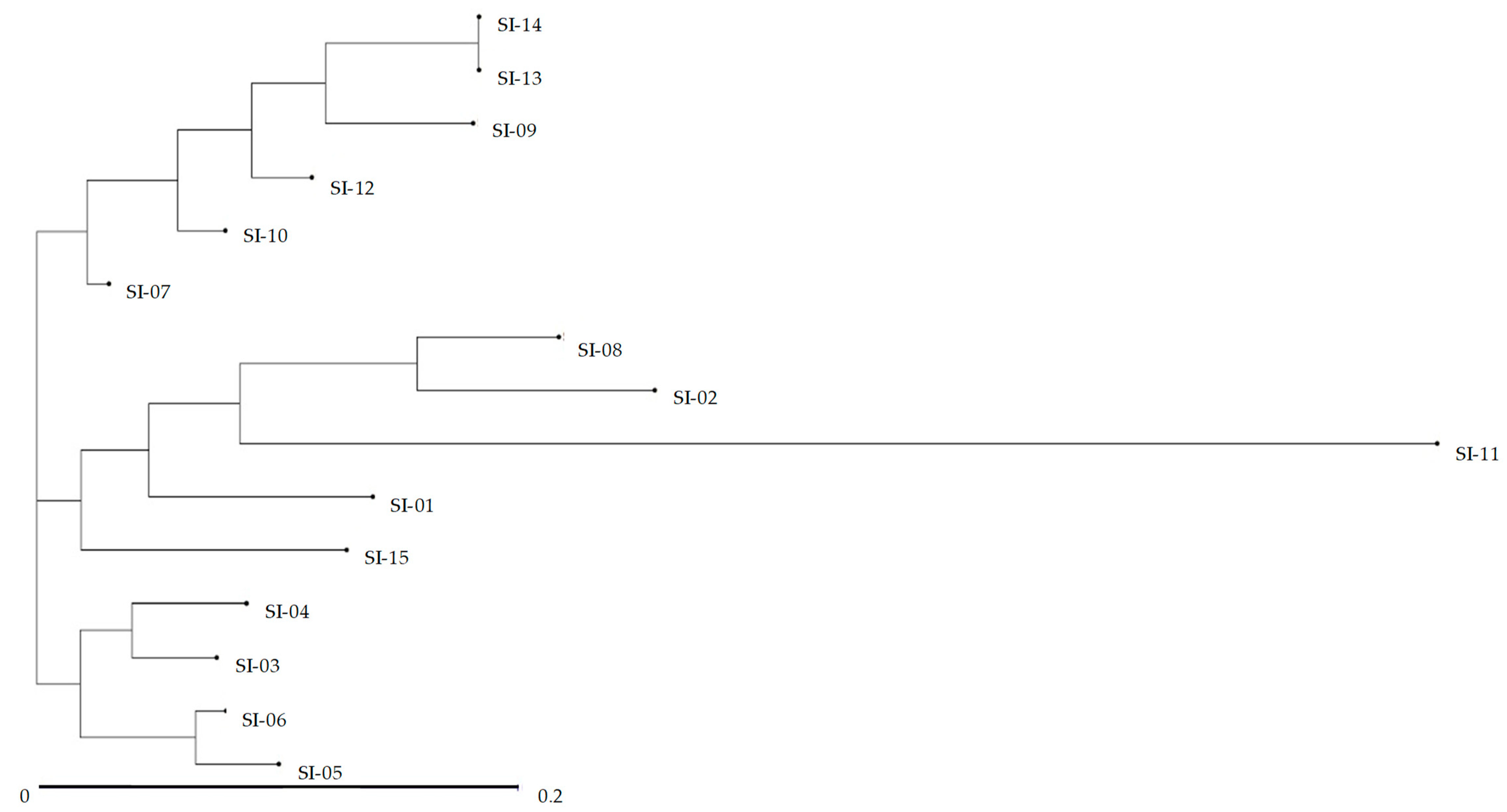 Molecules 24 01486 g004 550
