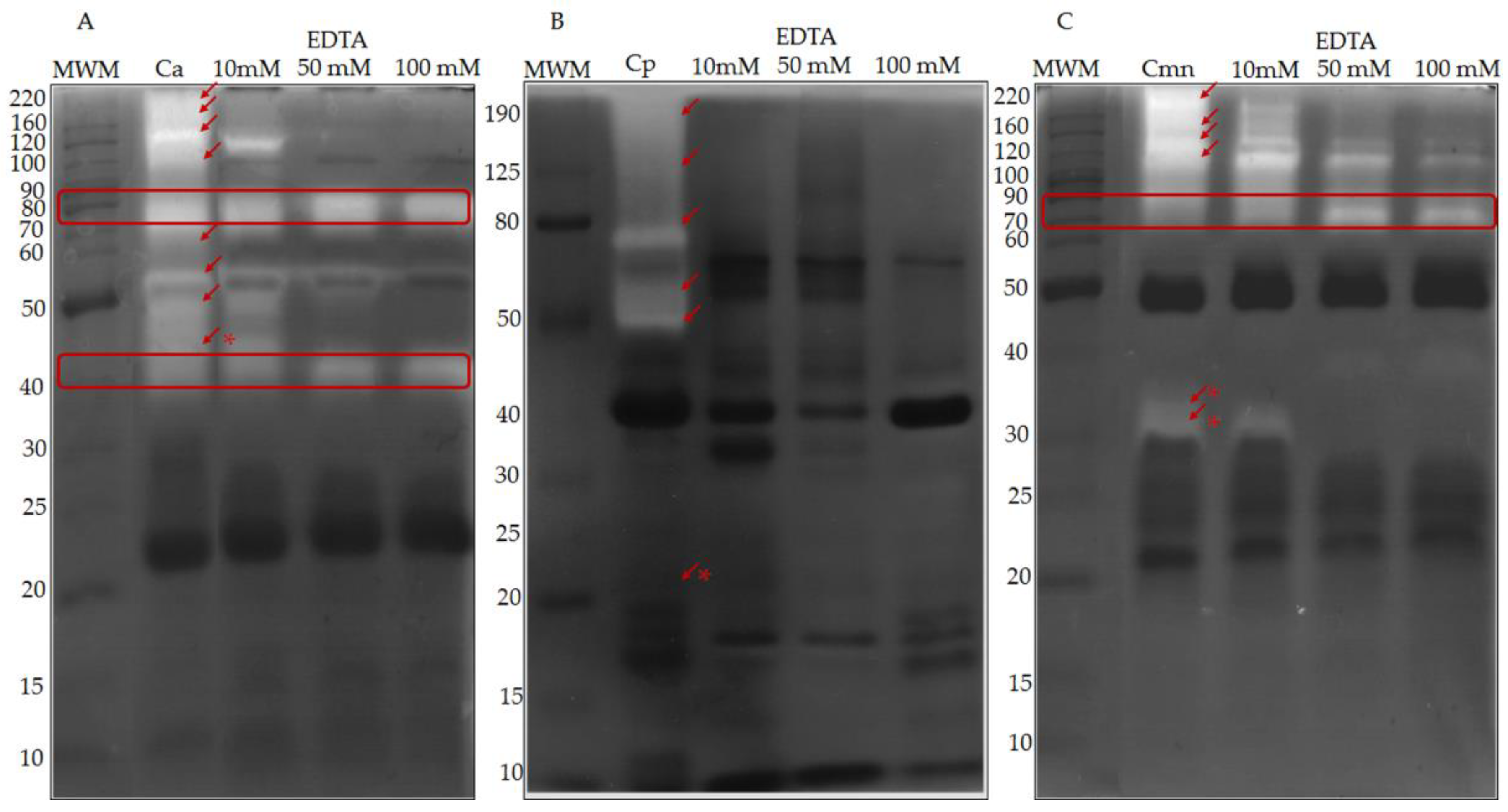 Molecules 24 01489 g005