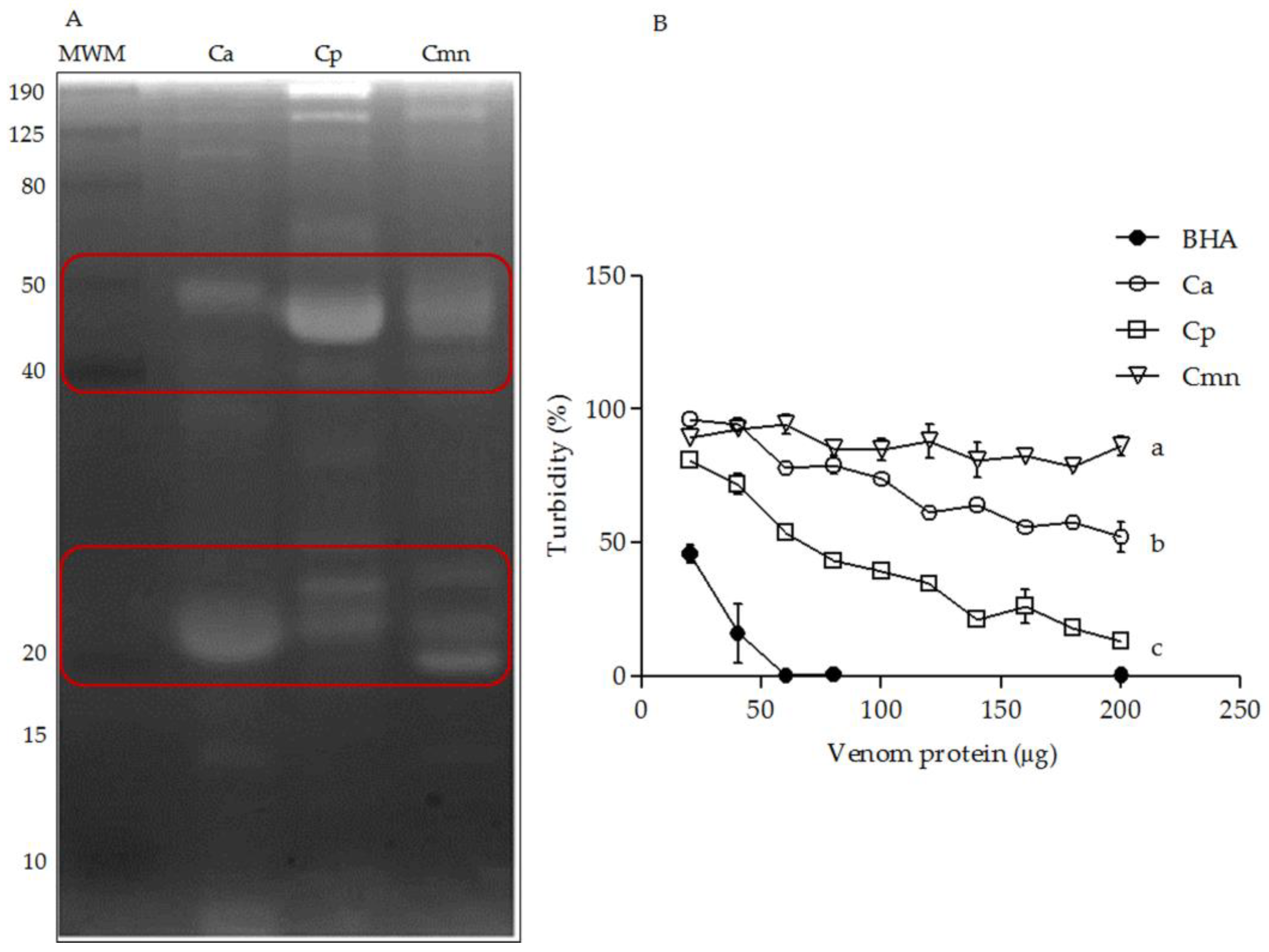 Molecules 24 01489 g007