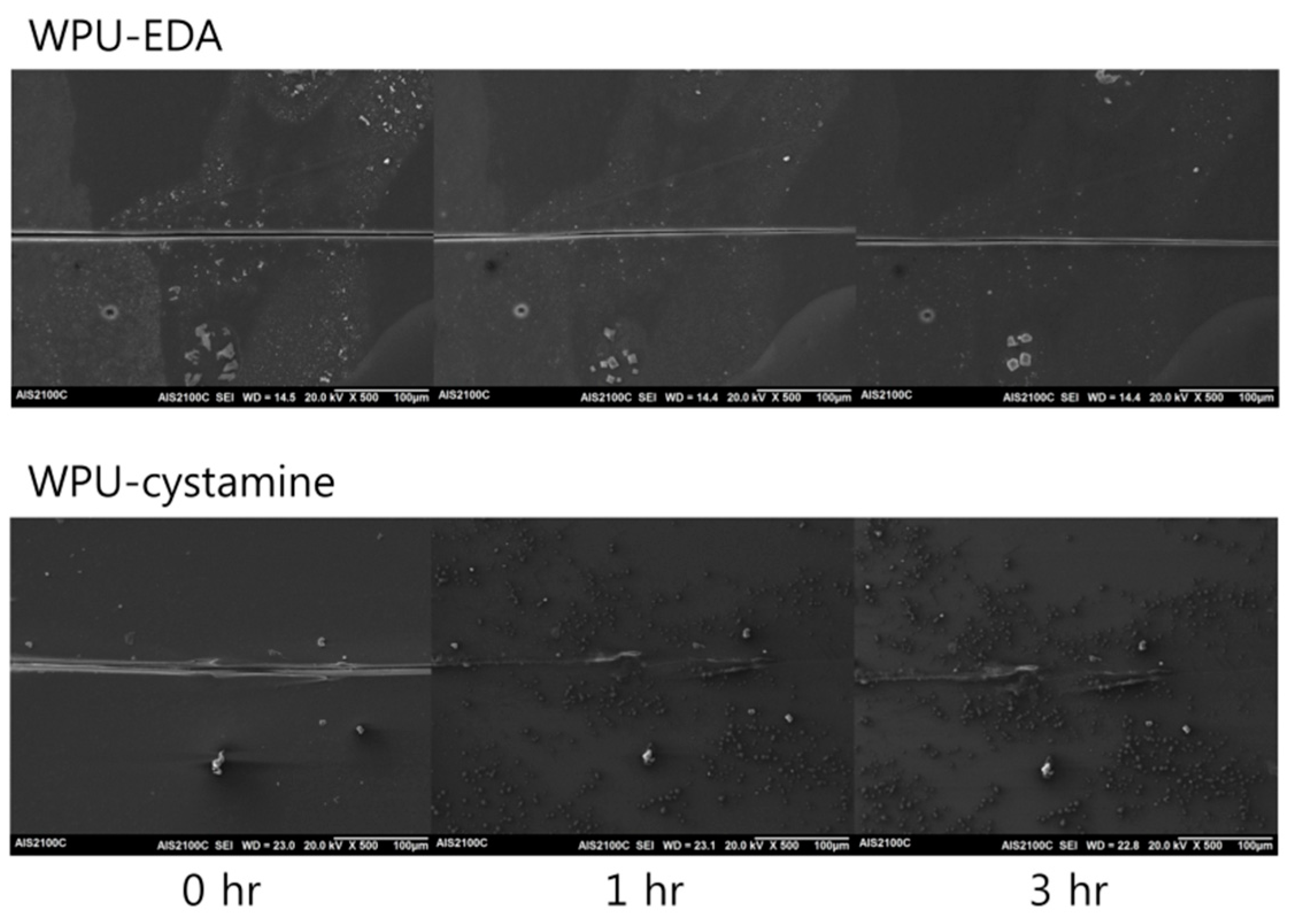 Molecules 24 01492 g005 Molecules 24 01492 g005